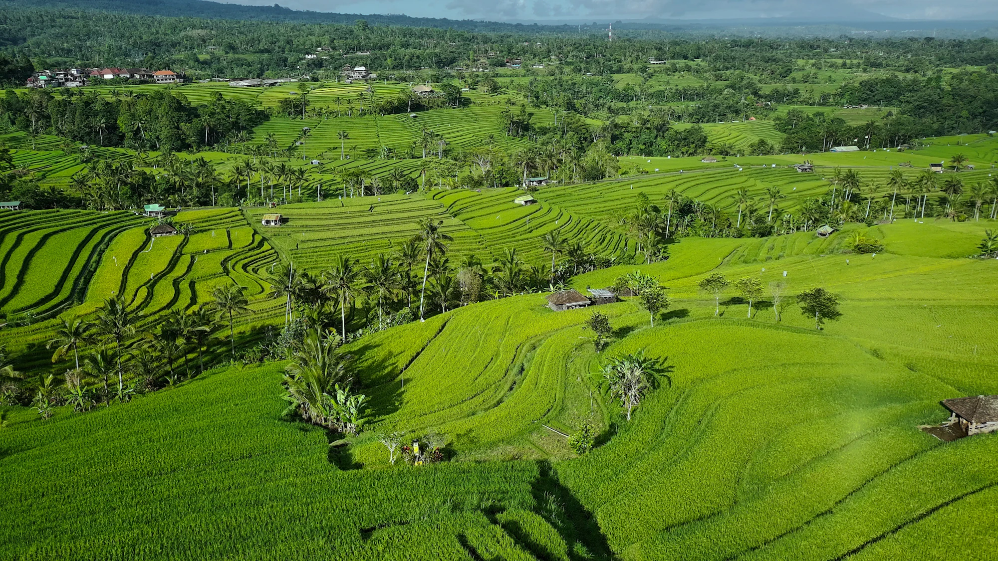 Indonesia visit visa