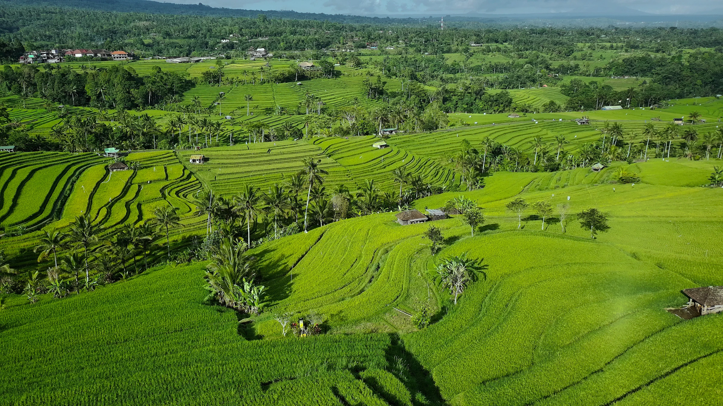 Jatiluwih Rice Terraces (UNESCO) — Tabanan