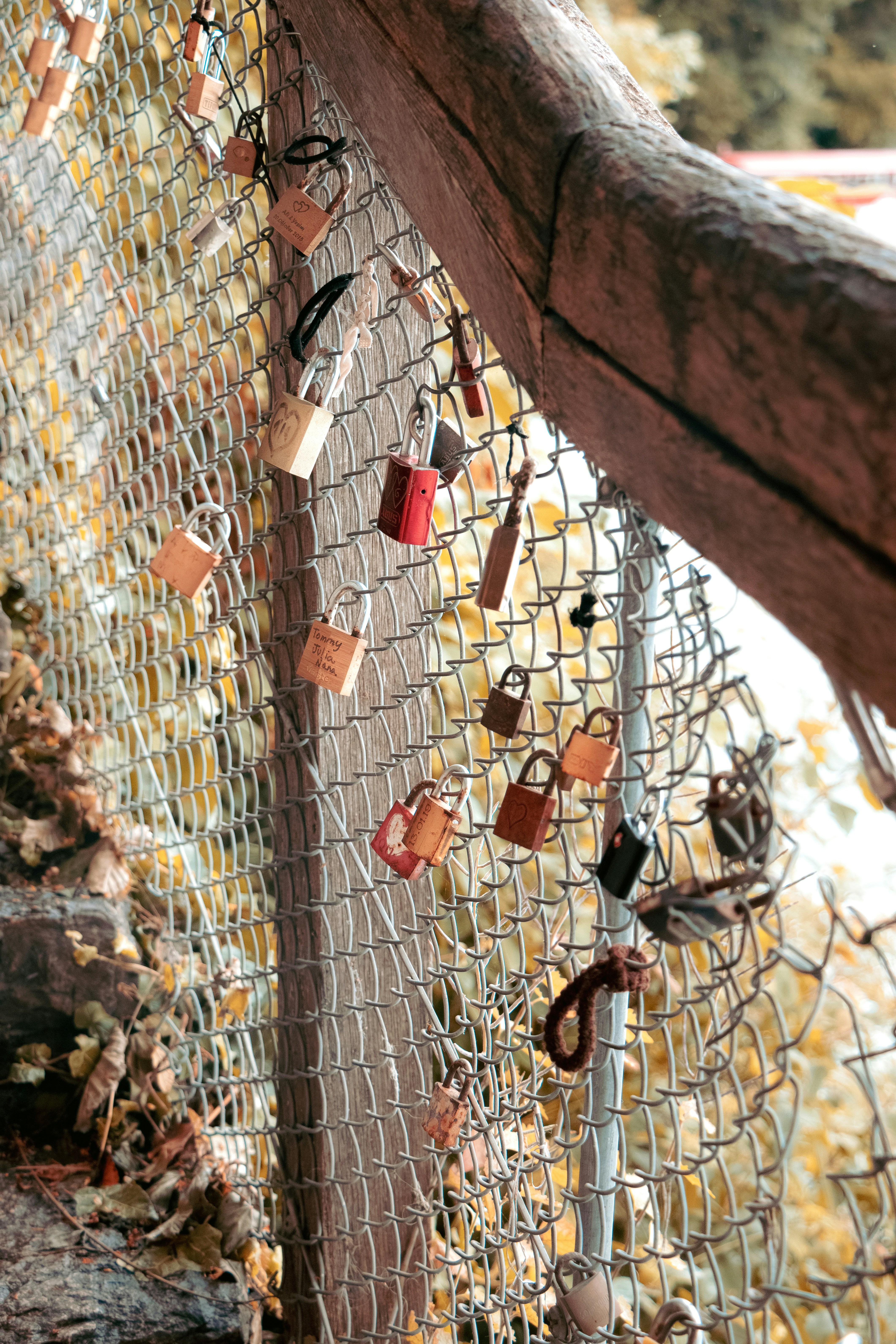 Una valla con un montón de candados atados a ella