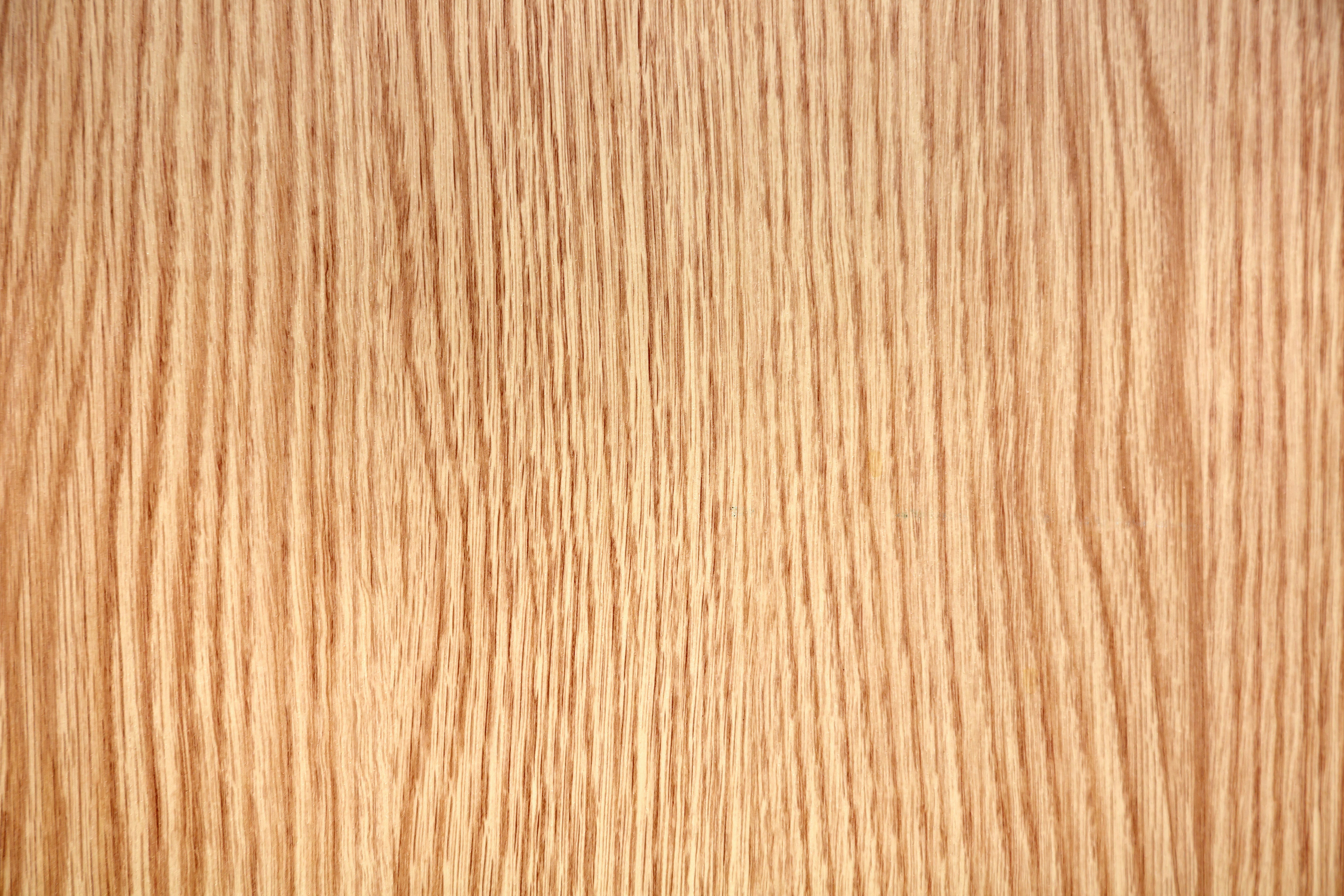 A close up view of a wood grain surface photo – Free Wood Image on Unsplash