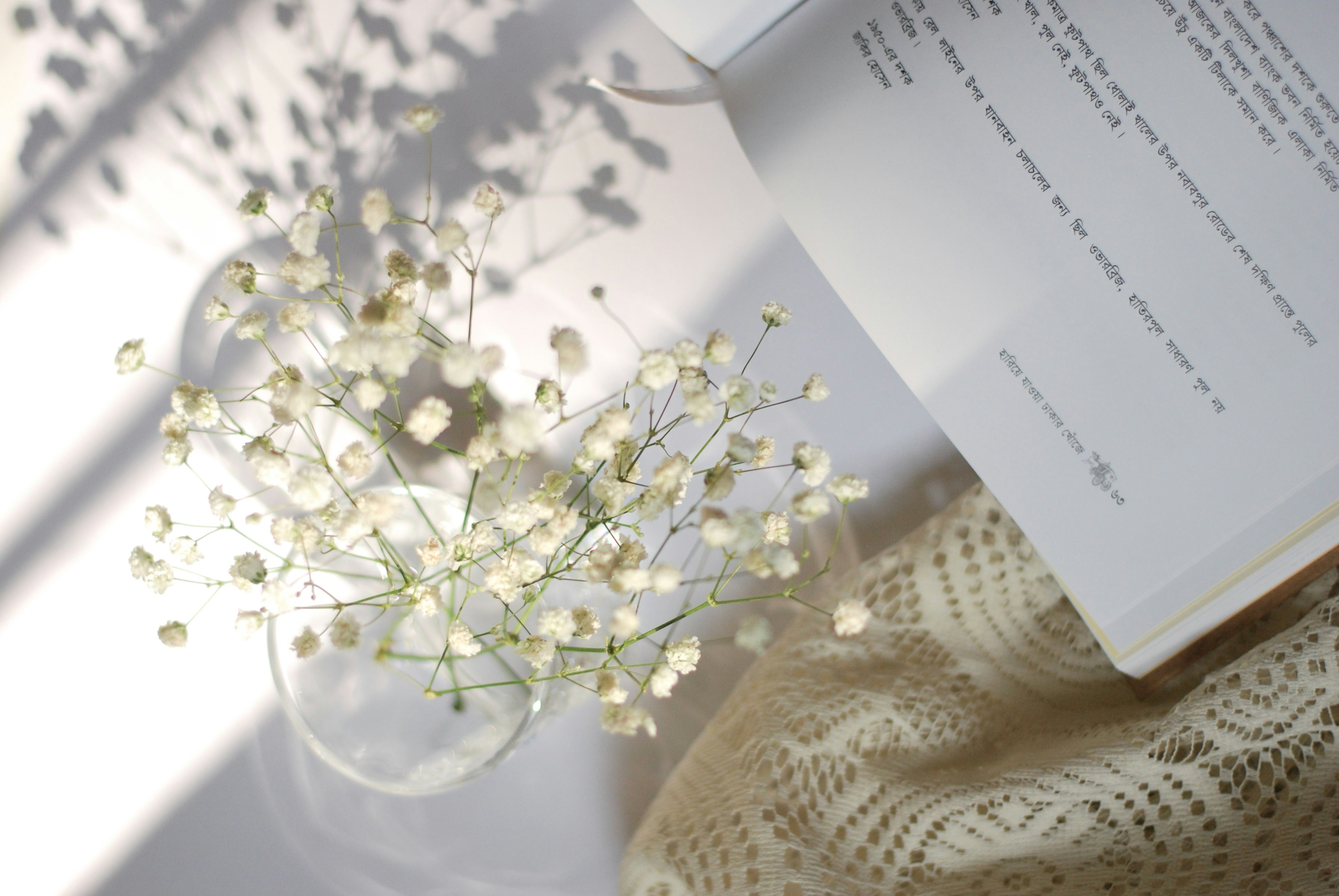 Photo by anindita_barma