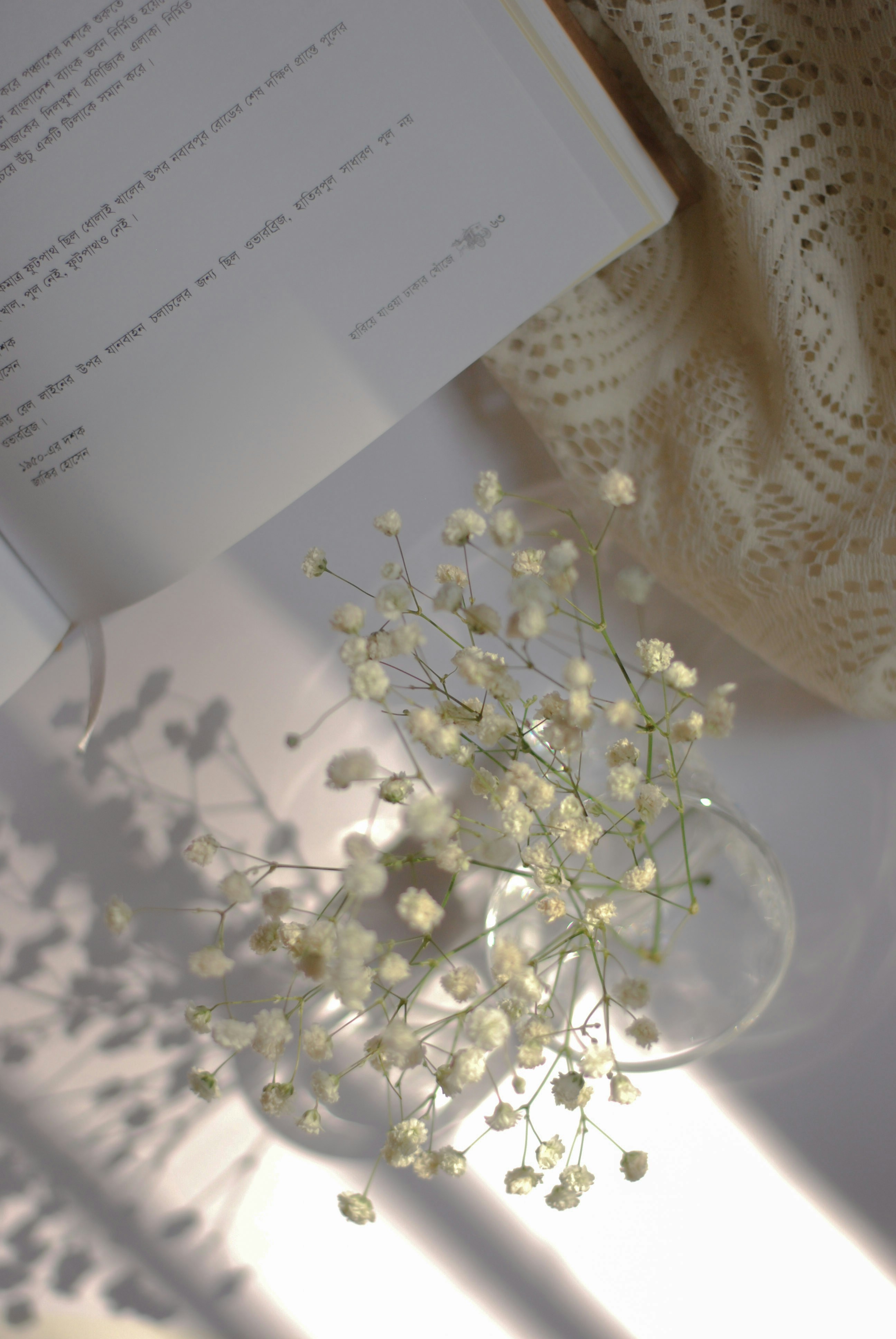 Photo by anindita_barma