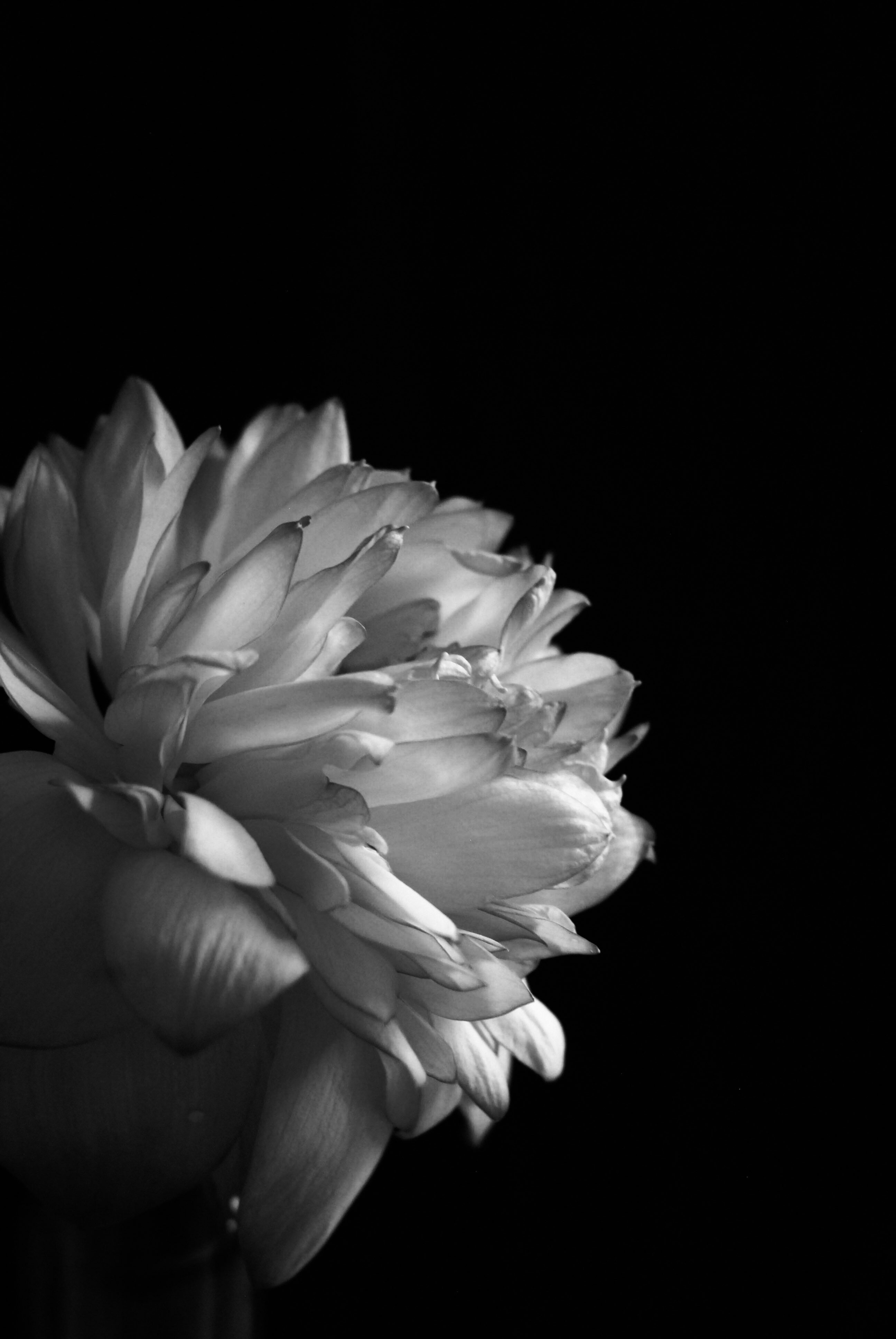 Photo by anindita_barma