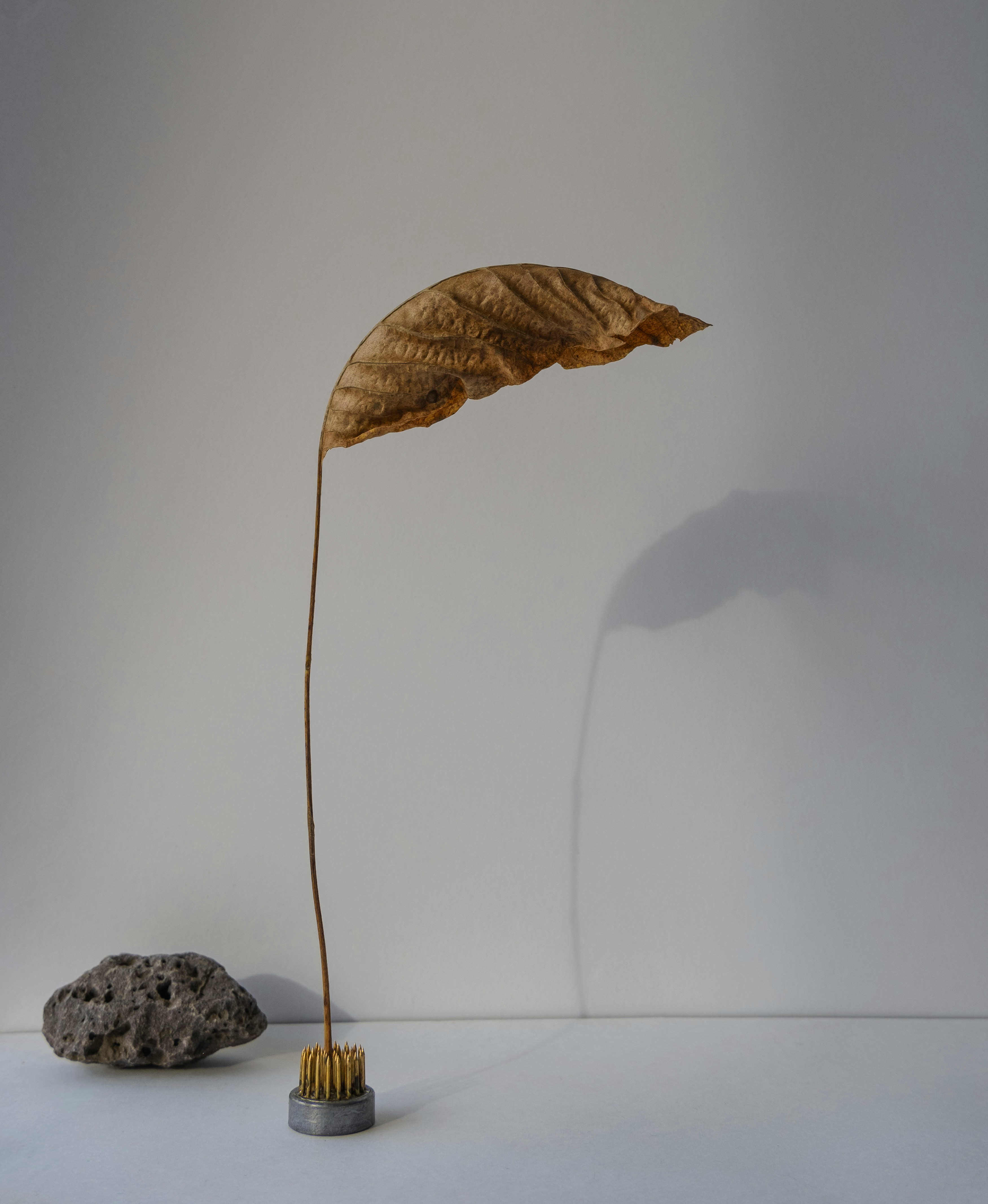 Photo by redredorange