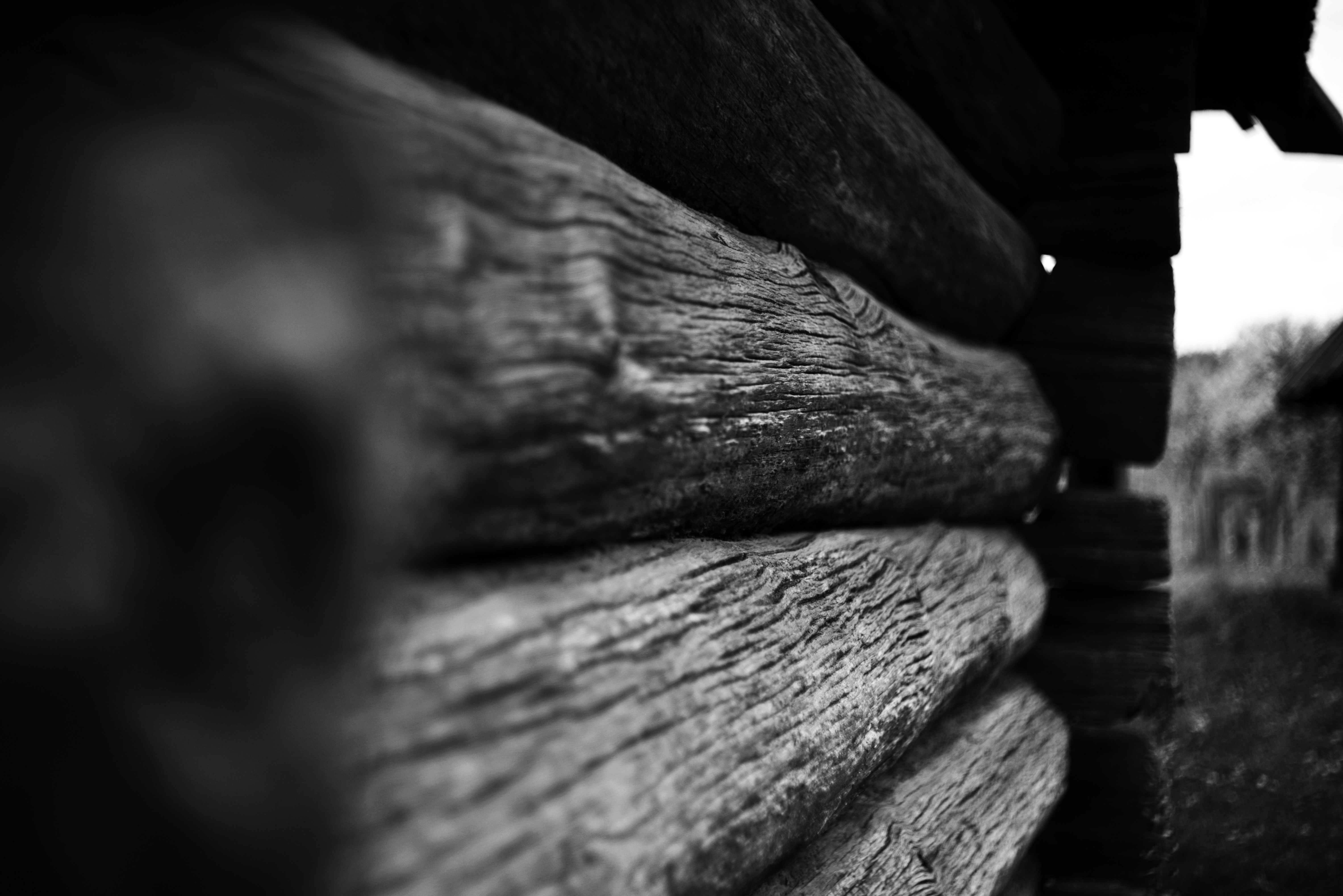 Photo by cherstve_pechivo