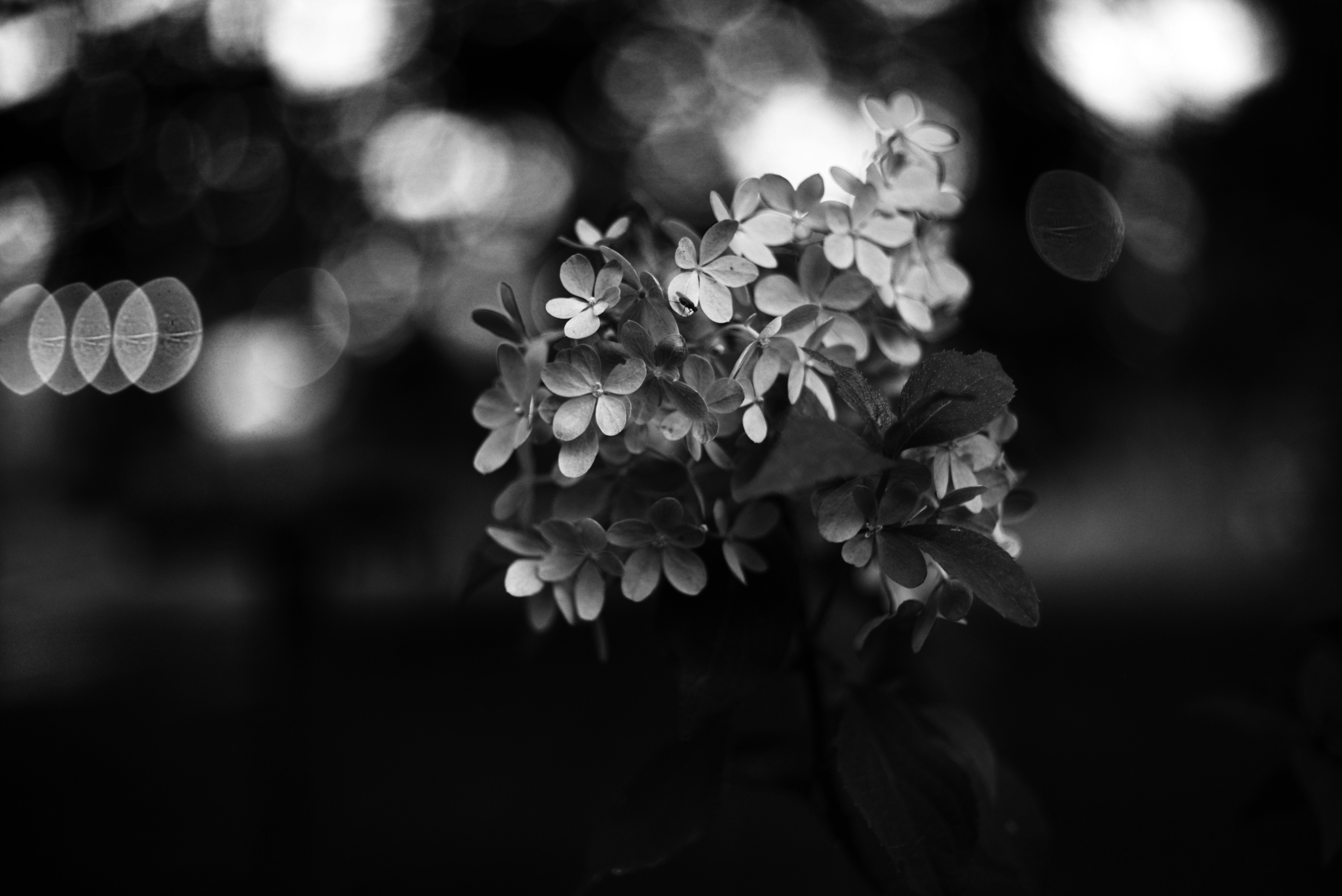 Photo by cherstve_pechivo