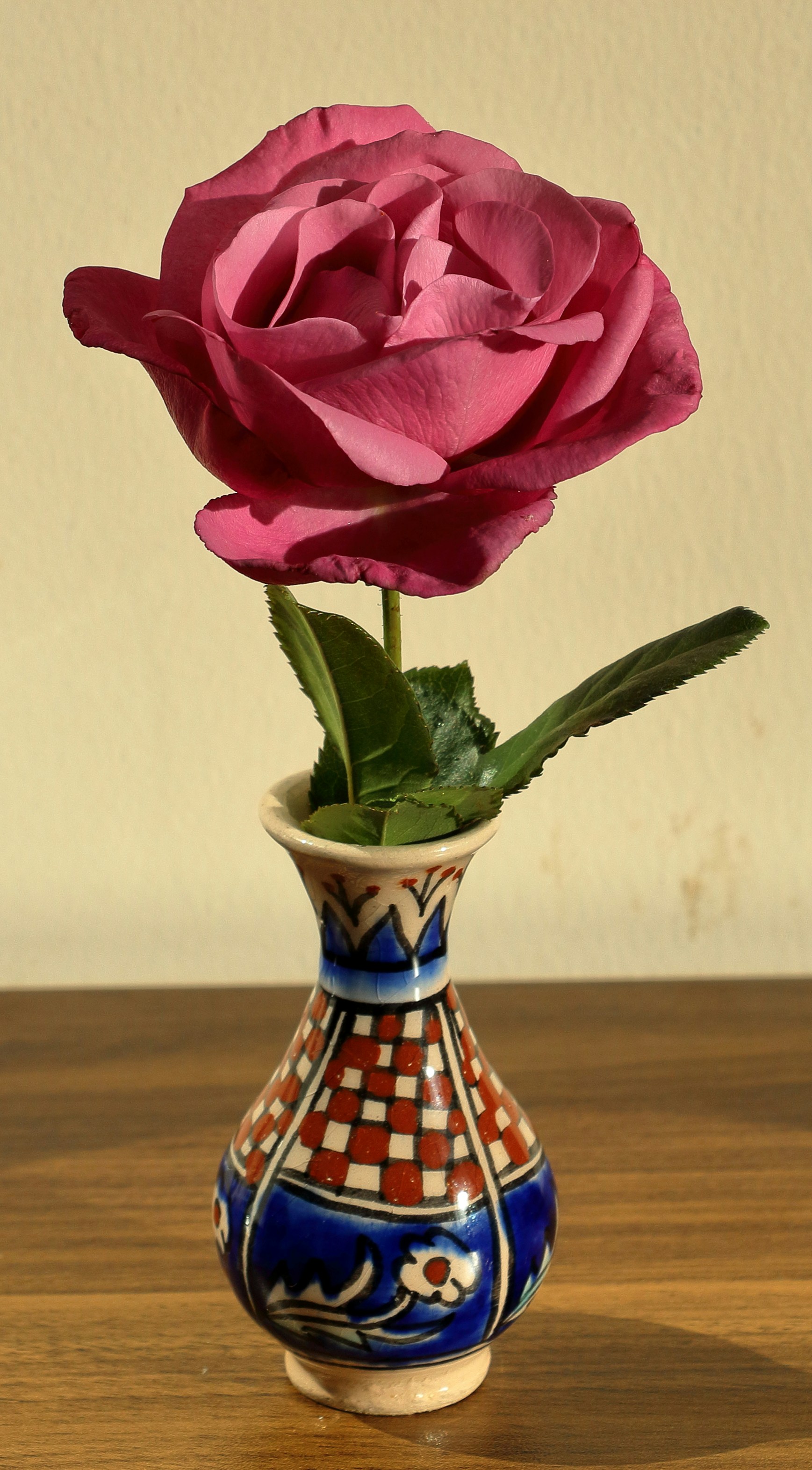 Understanding THCA Craft Rosin and How It Stands Apart from Other Cannabis Extracts