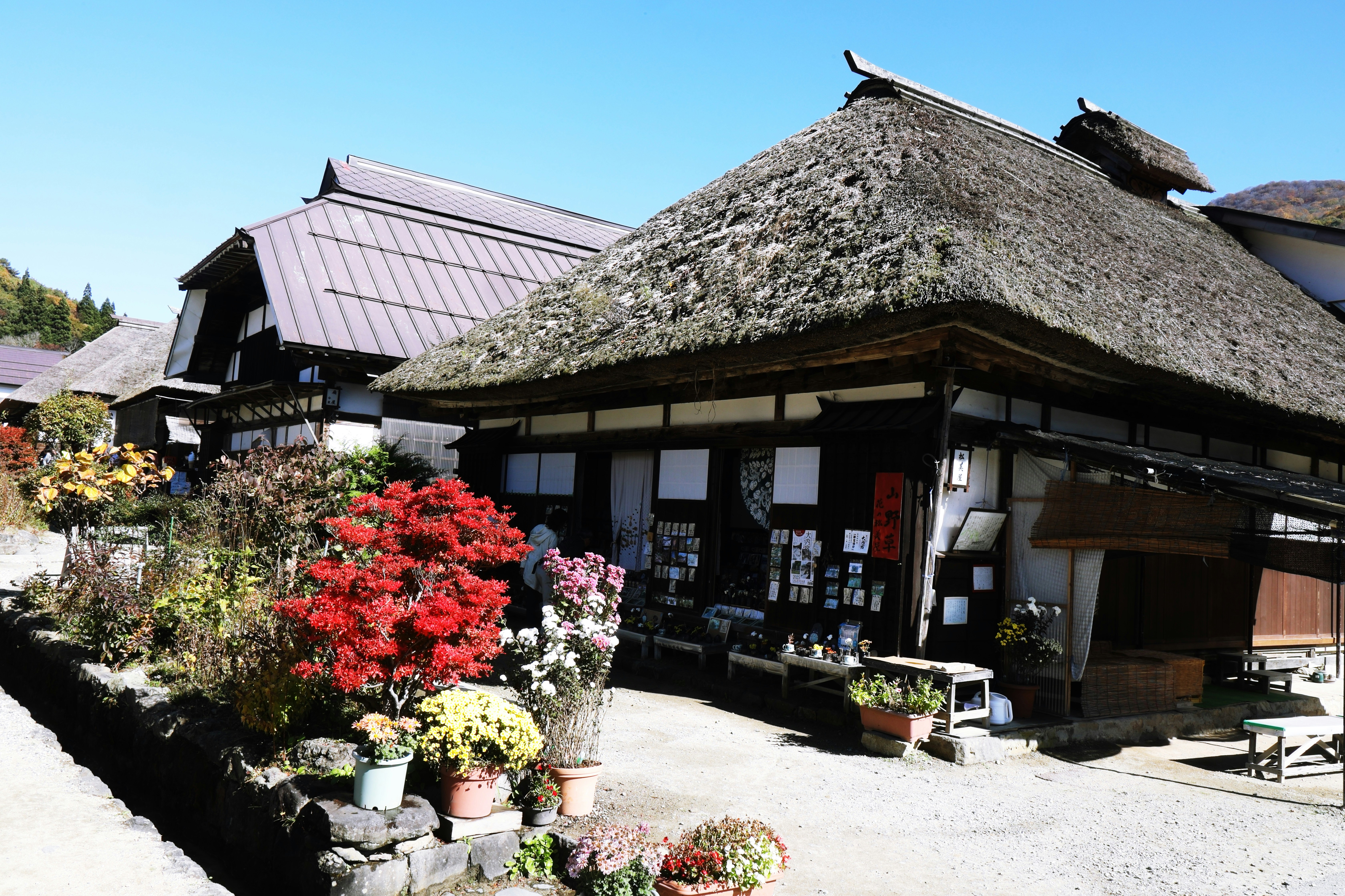 Japanese local cuisine served at ryokan