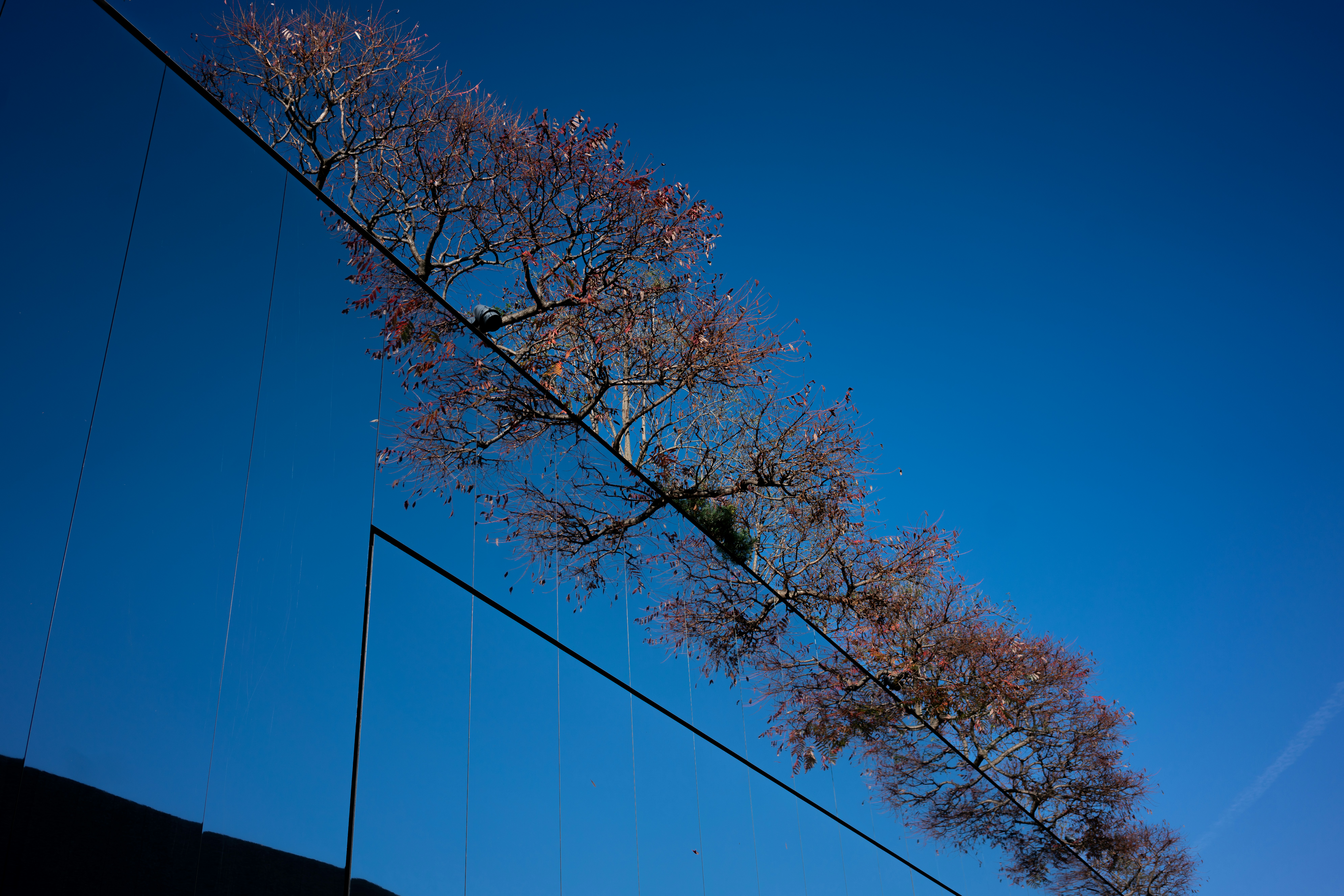 A person is flying a kite in the sky