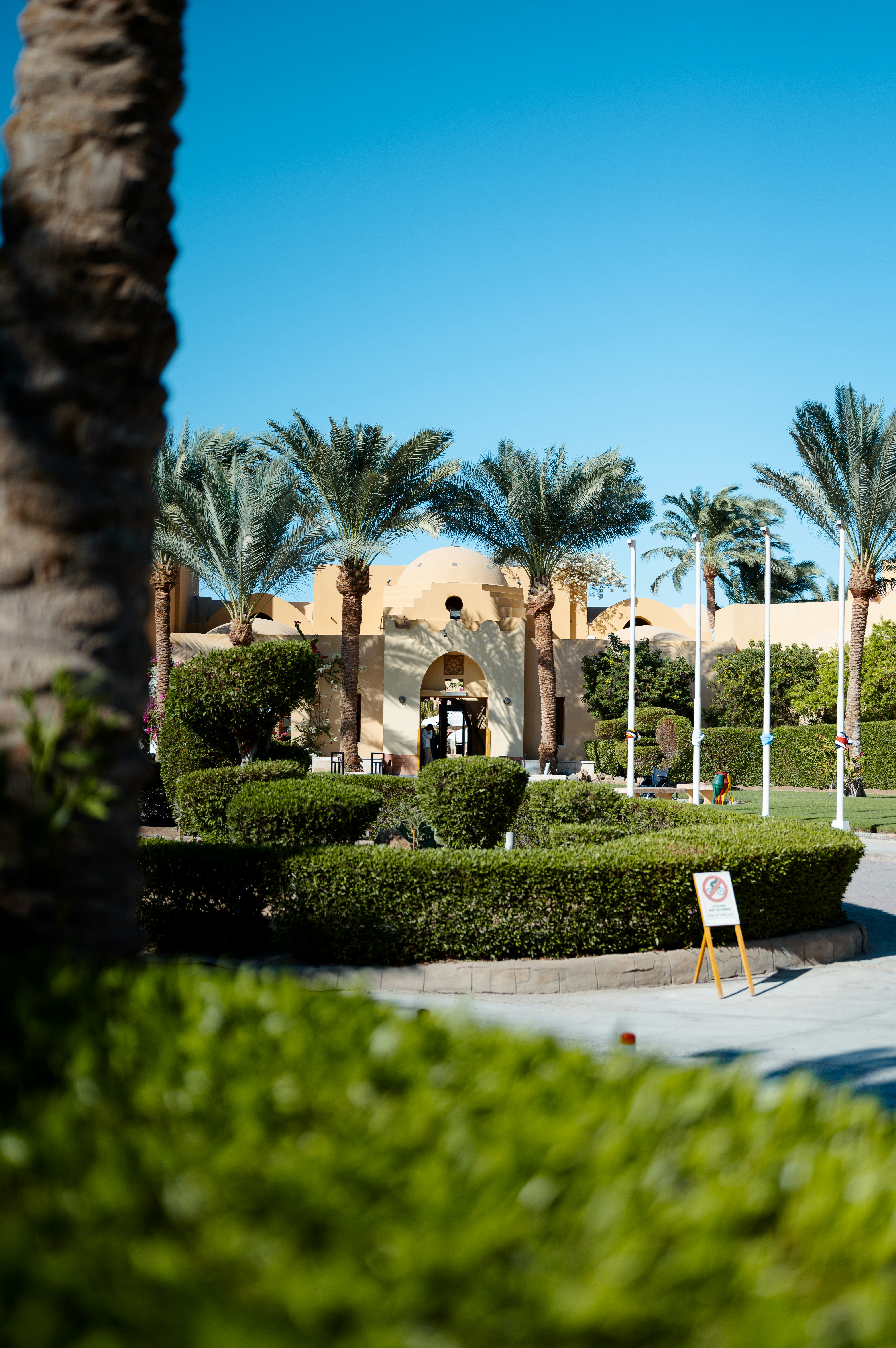 Photo by job_vermeulen