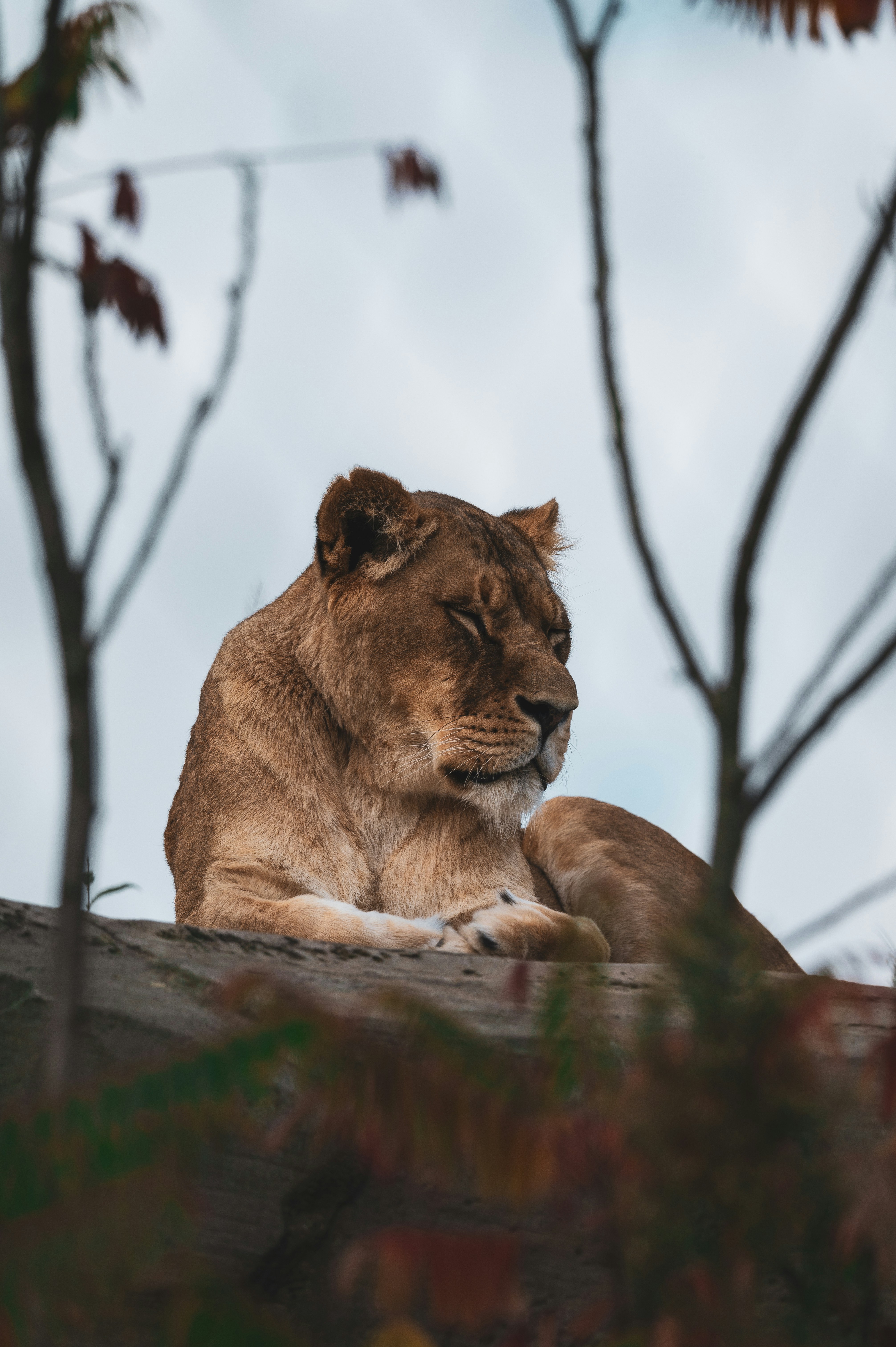 Photo by job_vermeulen