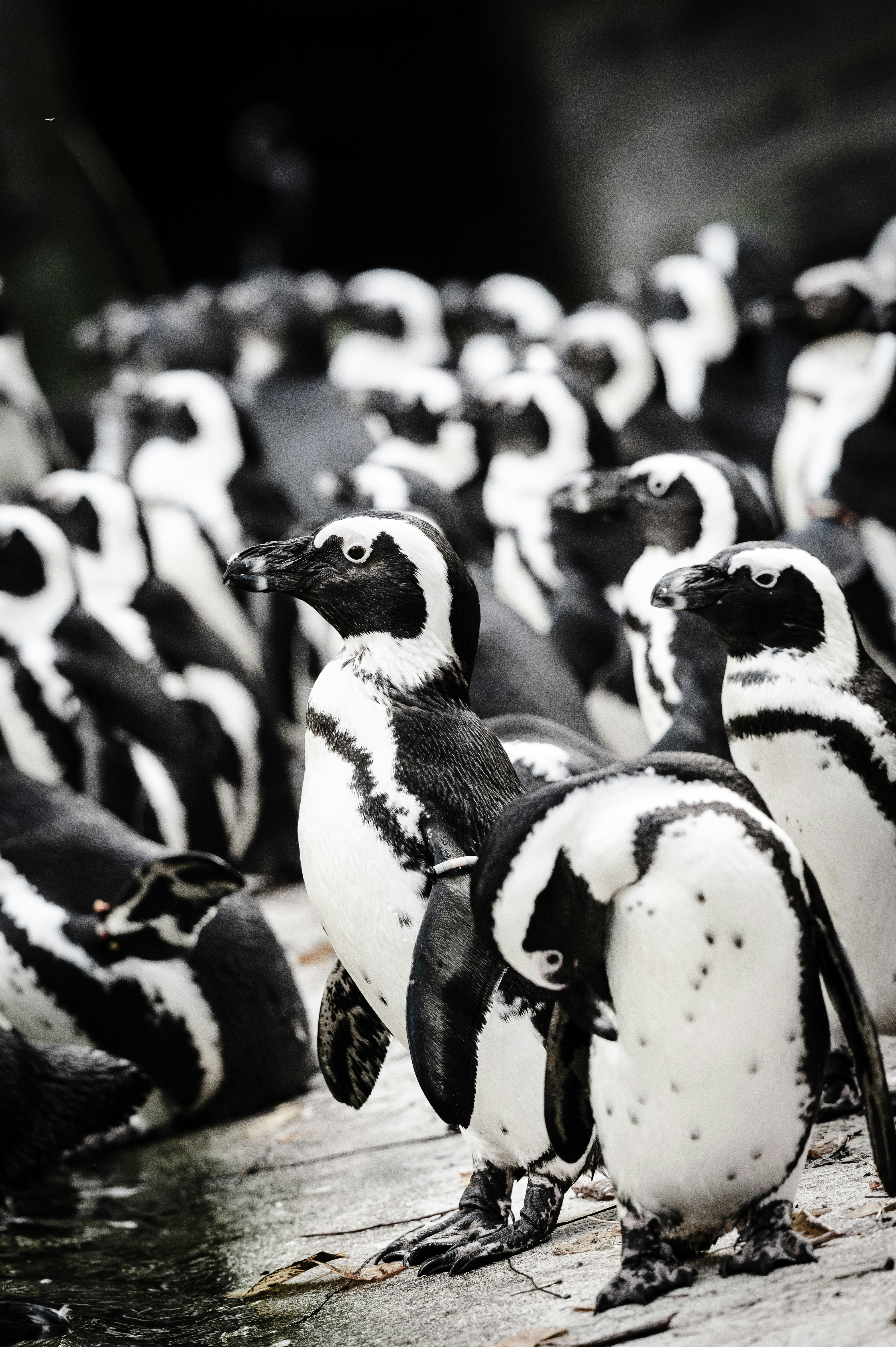 Photo by job_vermeulen