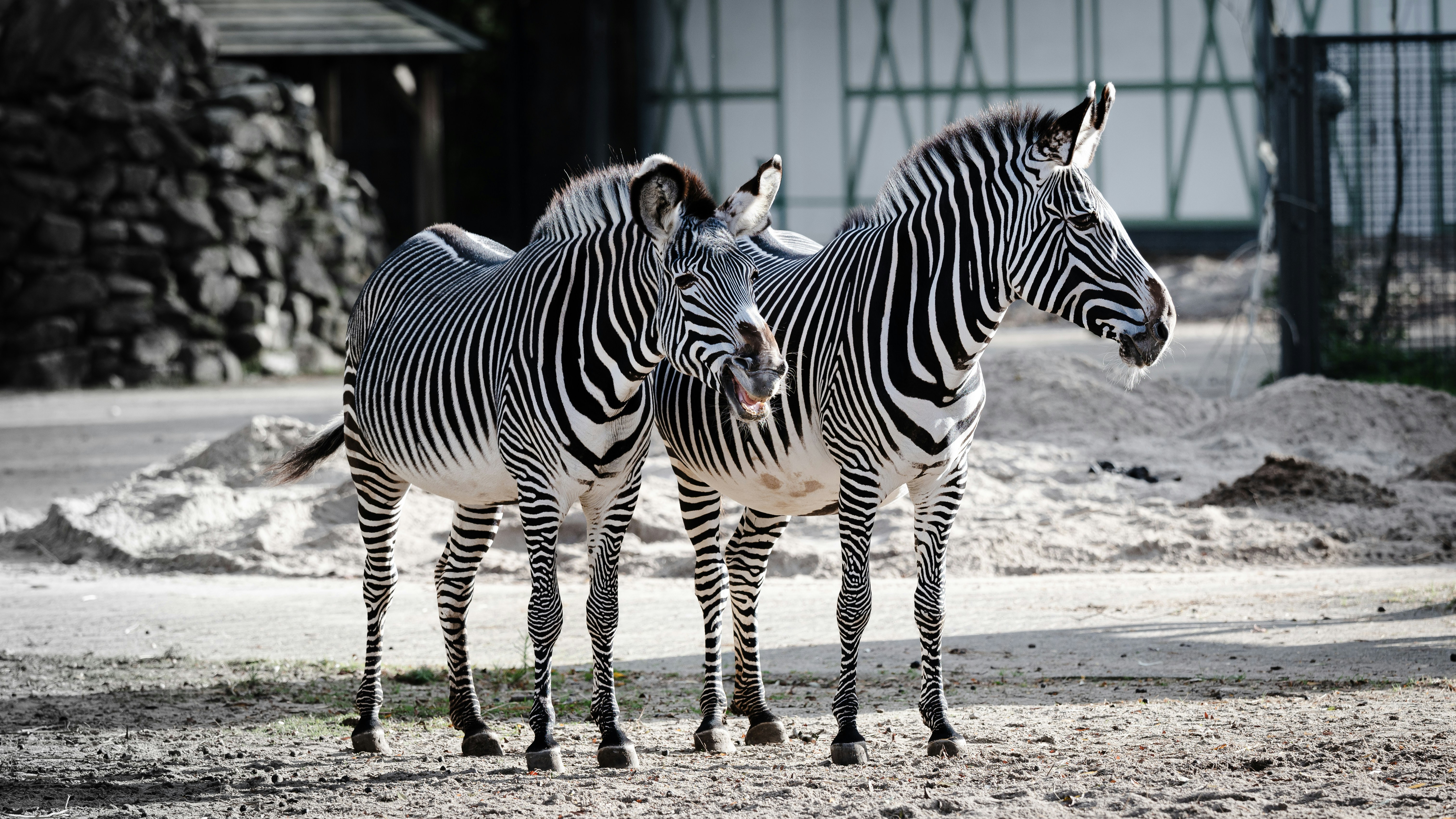 Photo by job_vermeulen