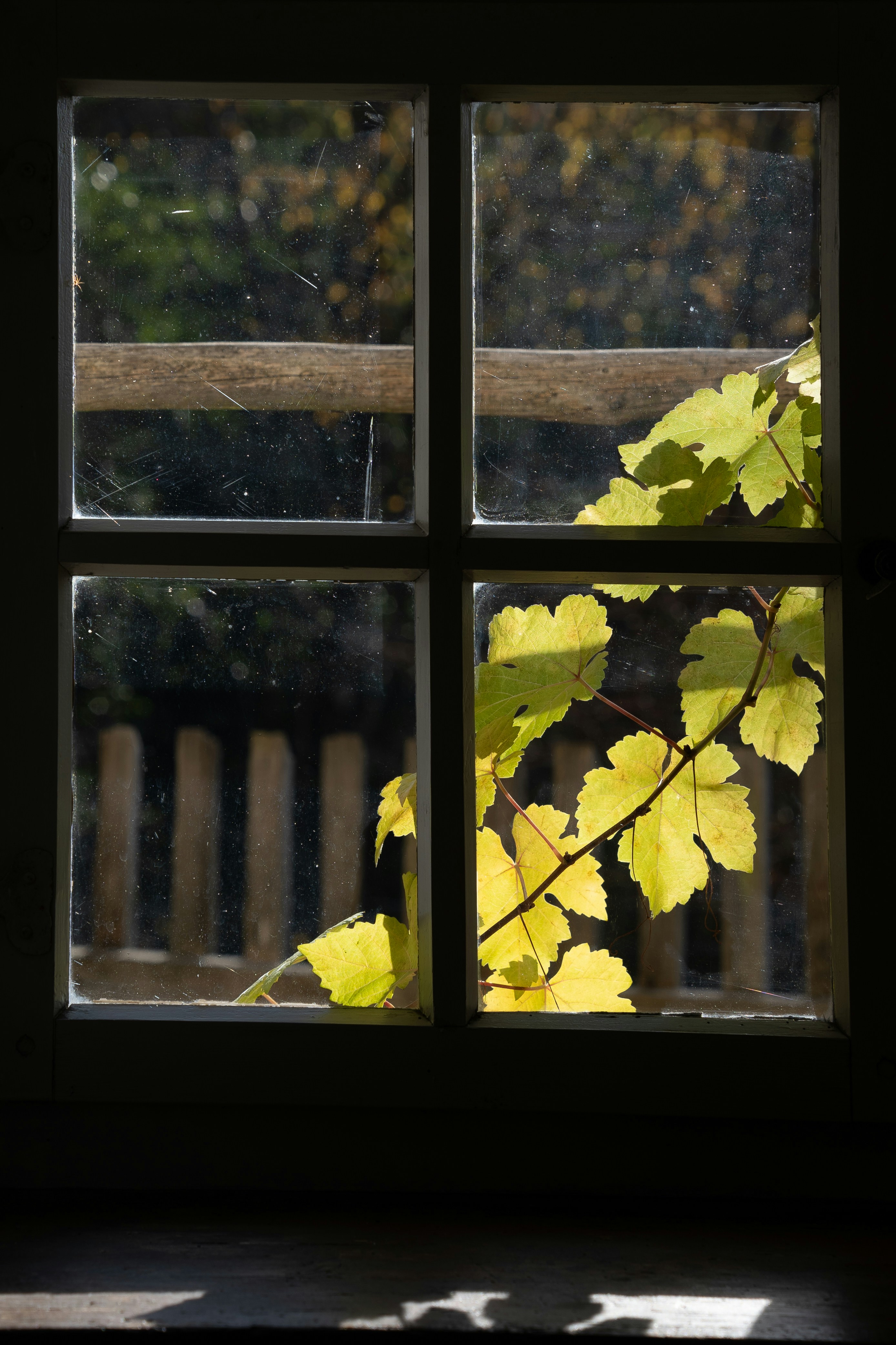 Photo by magictravel