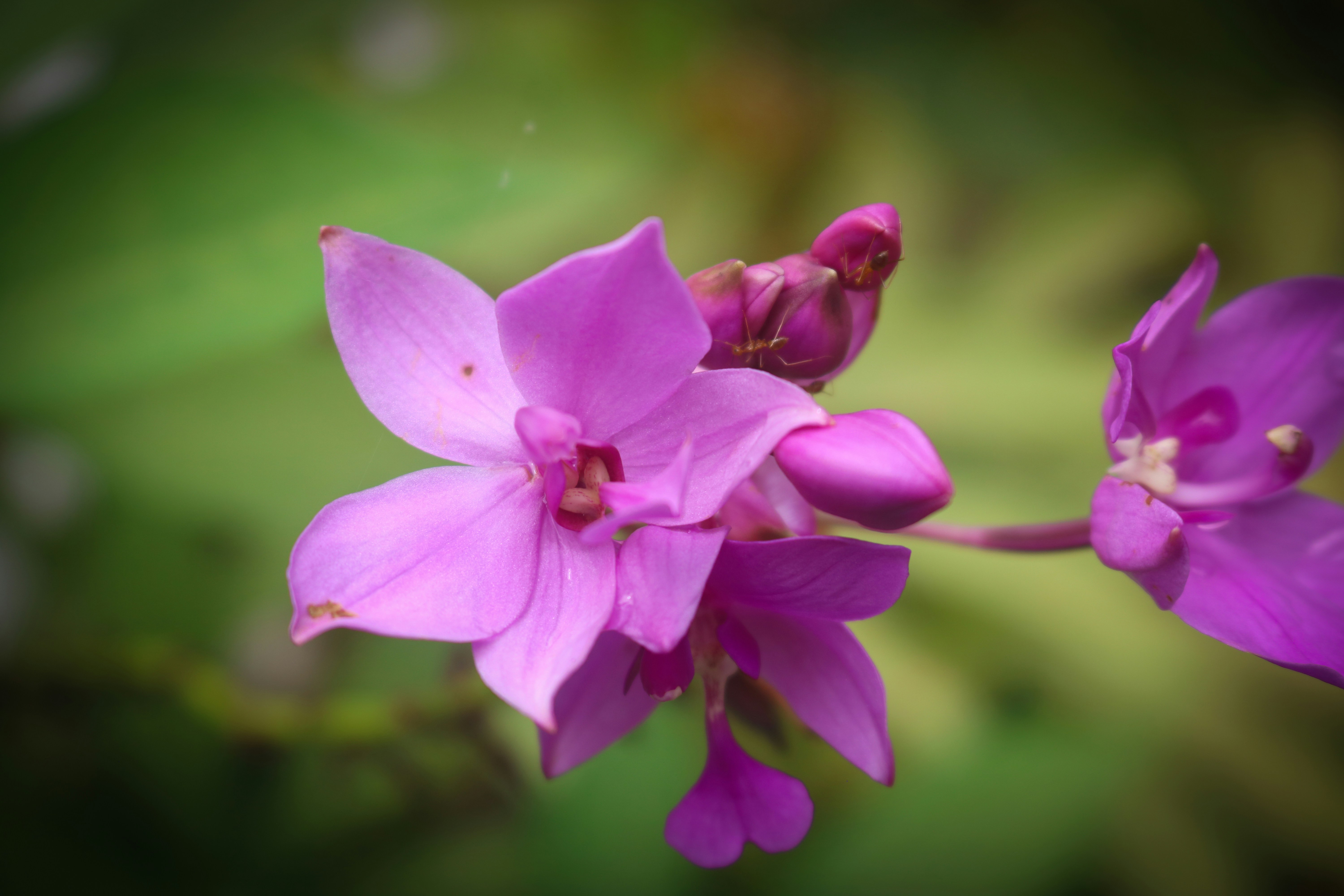 Photo by raviphotography90