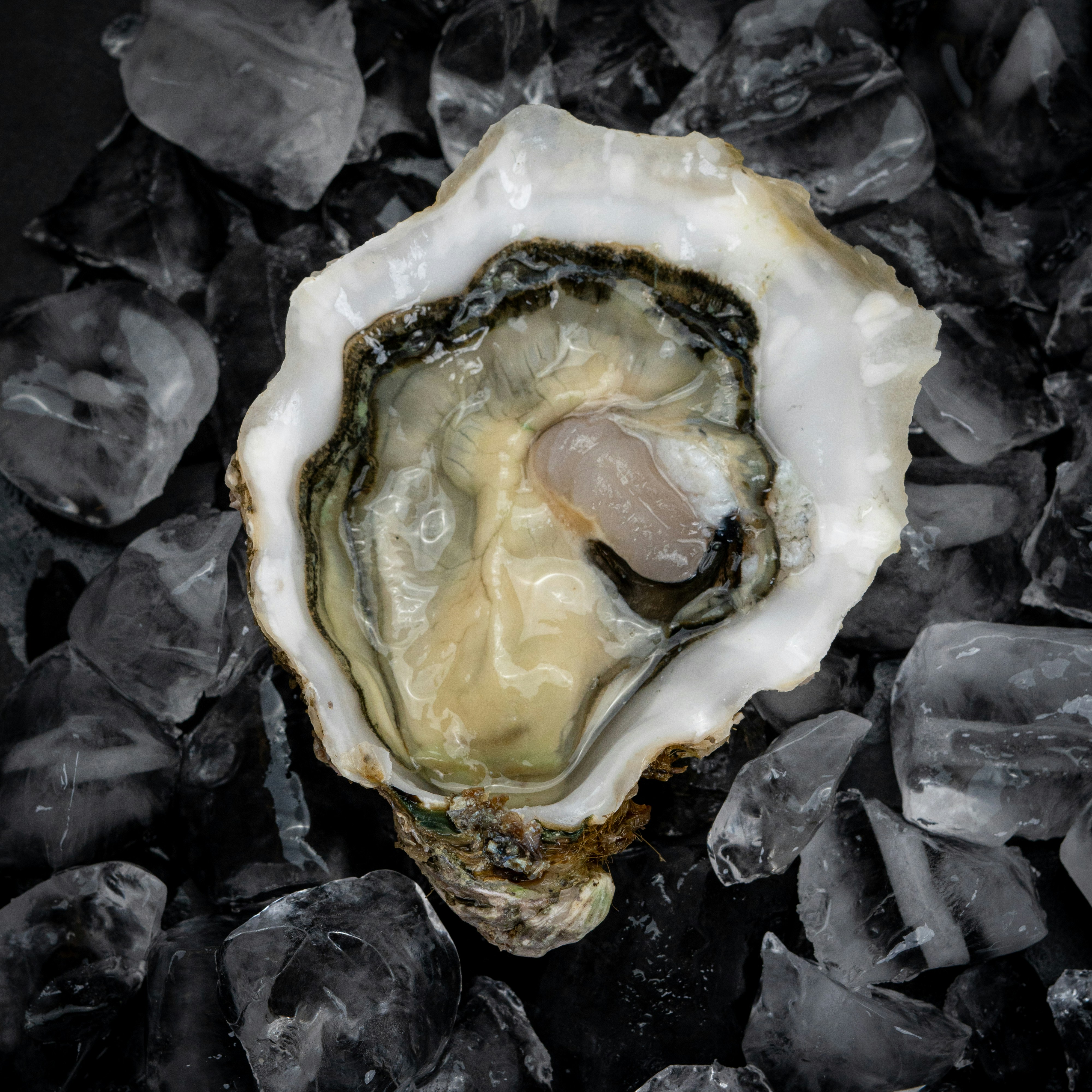 Photo by mitiliemitili