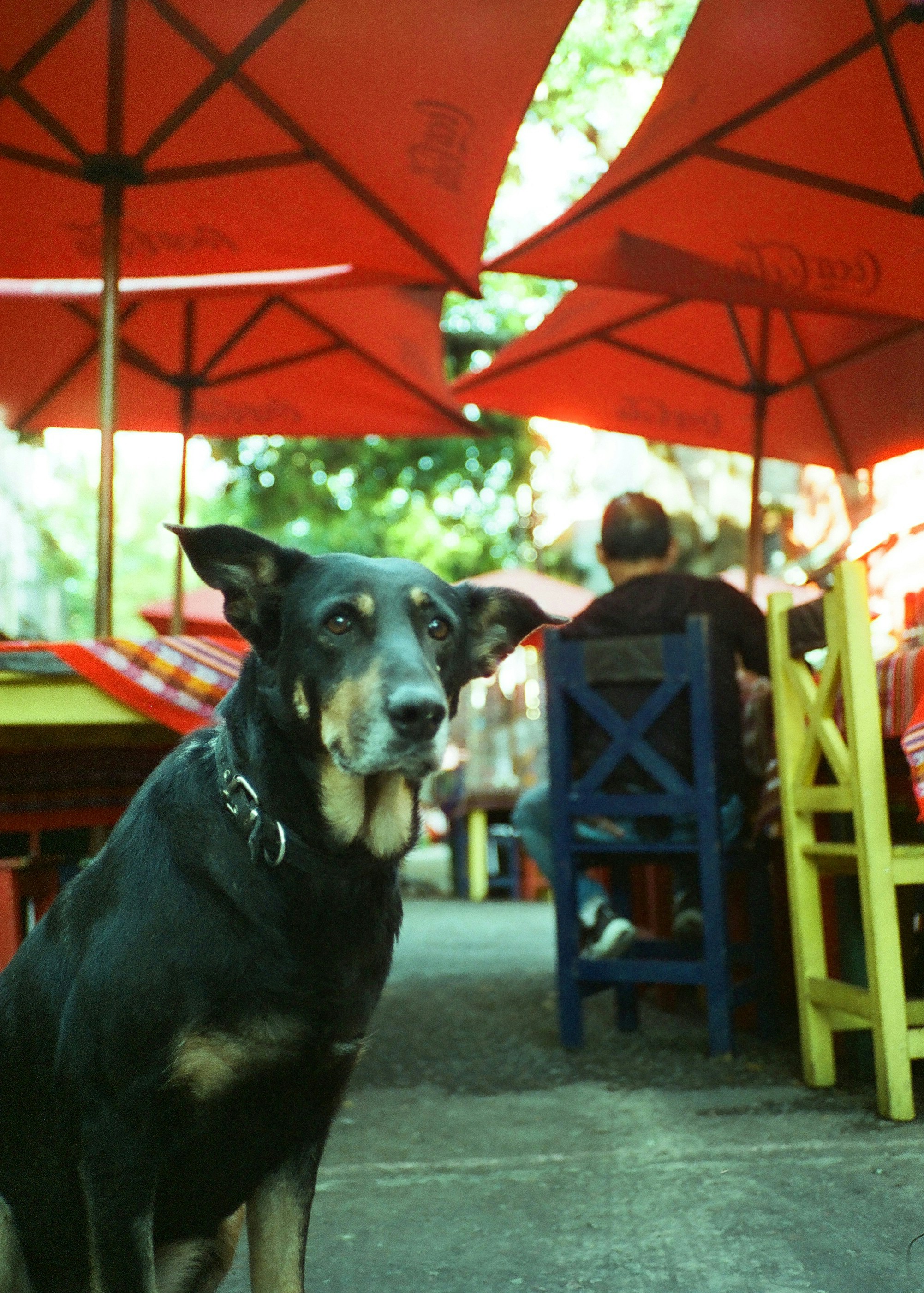 Sammy'S Happy Hour Menu