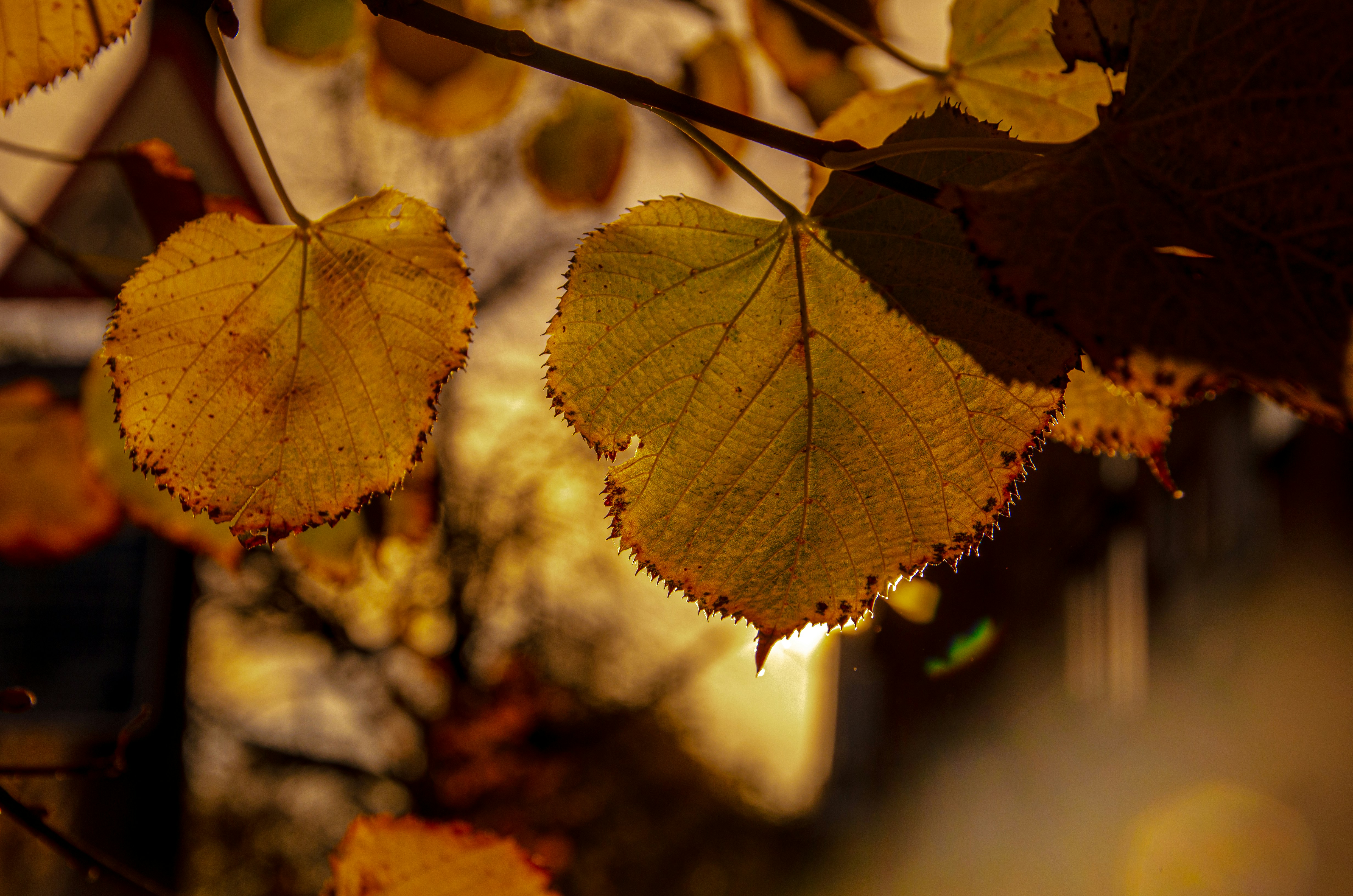 Photo by _florens_spenser_