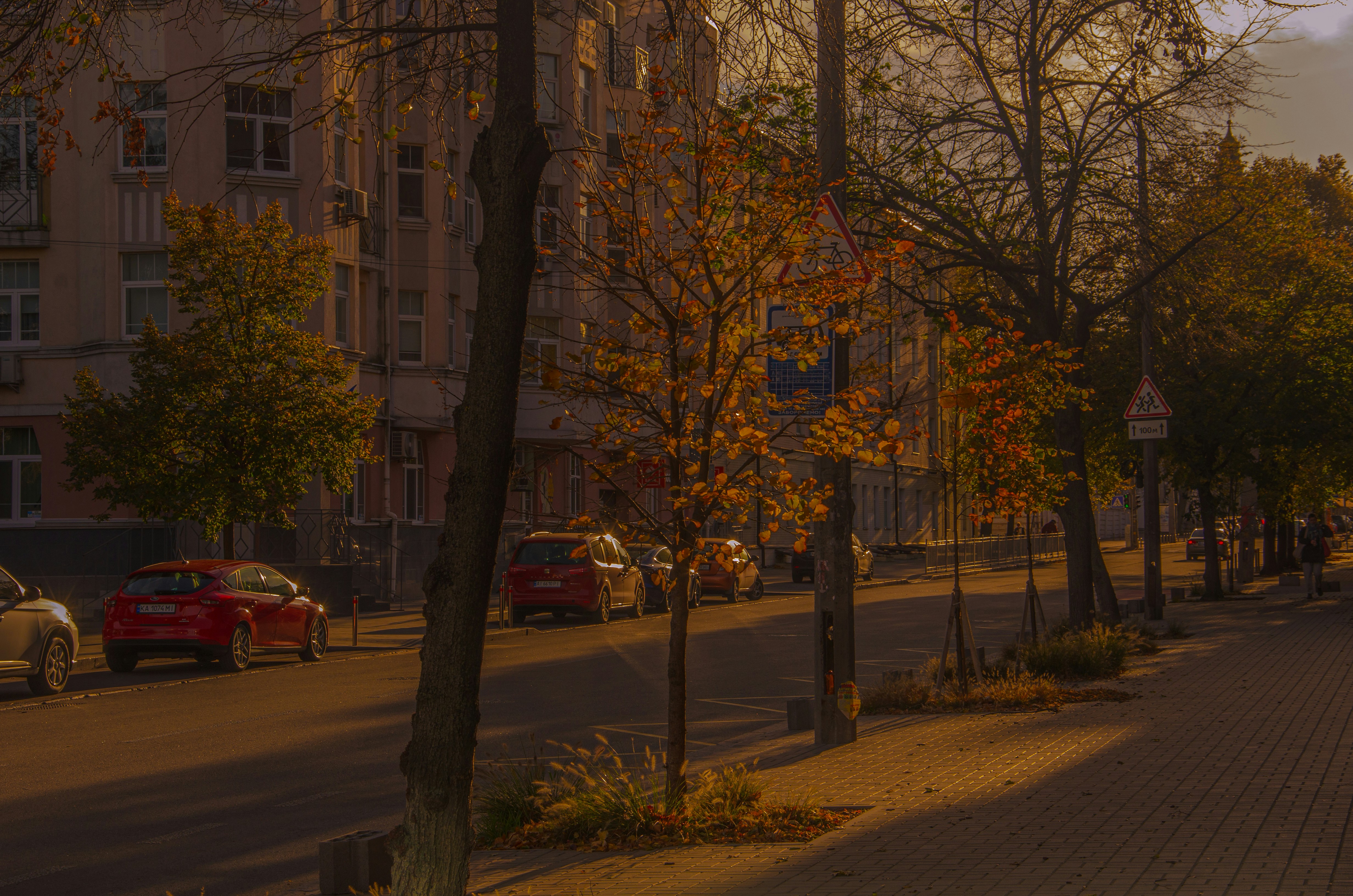 Photo by _florens_spenser_