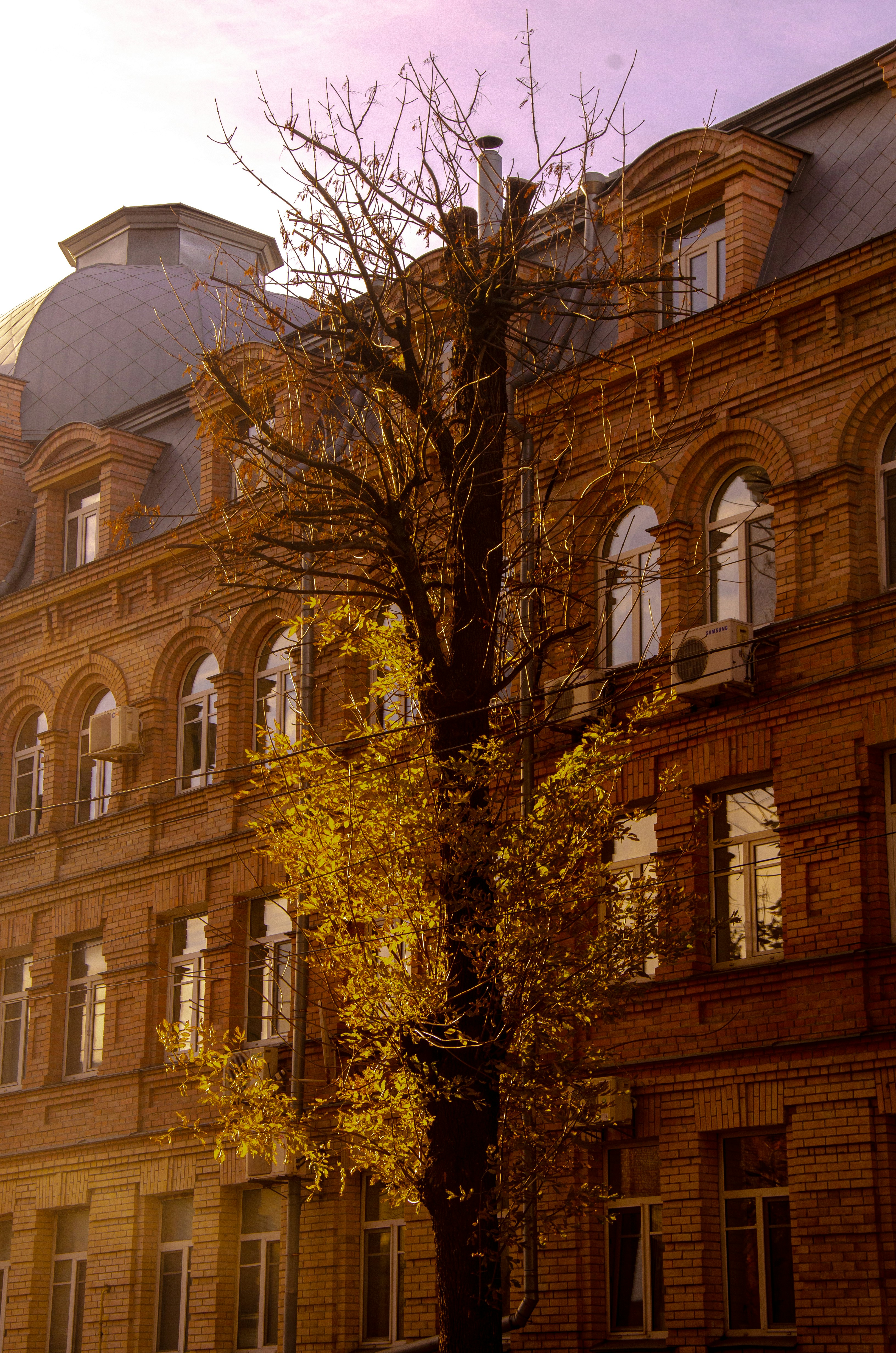 Photo by _florens_spenser_