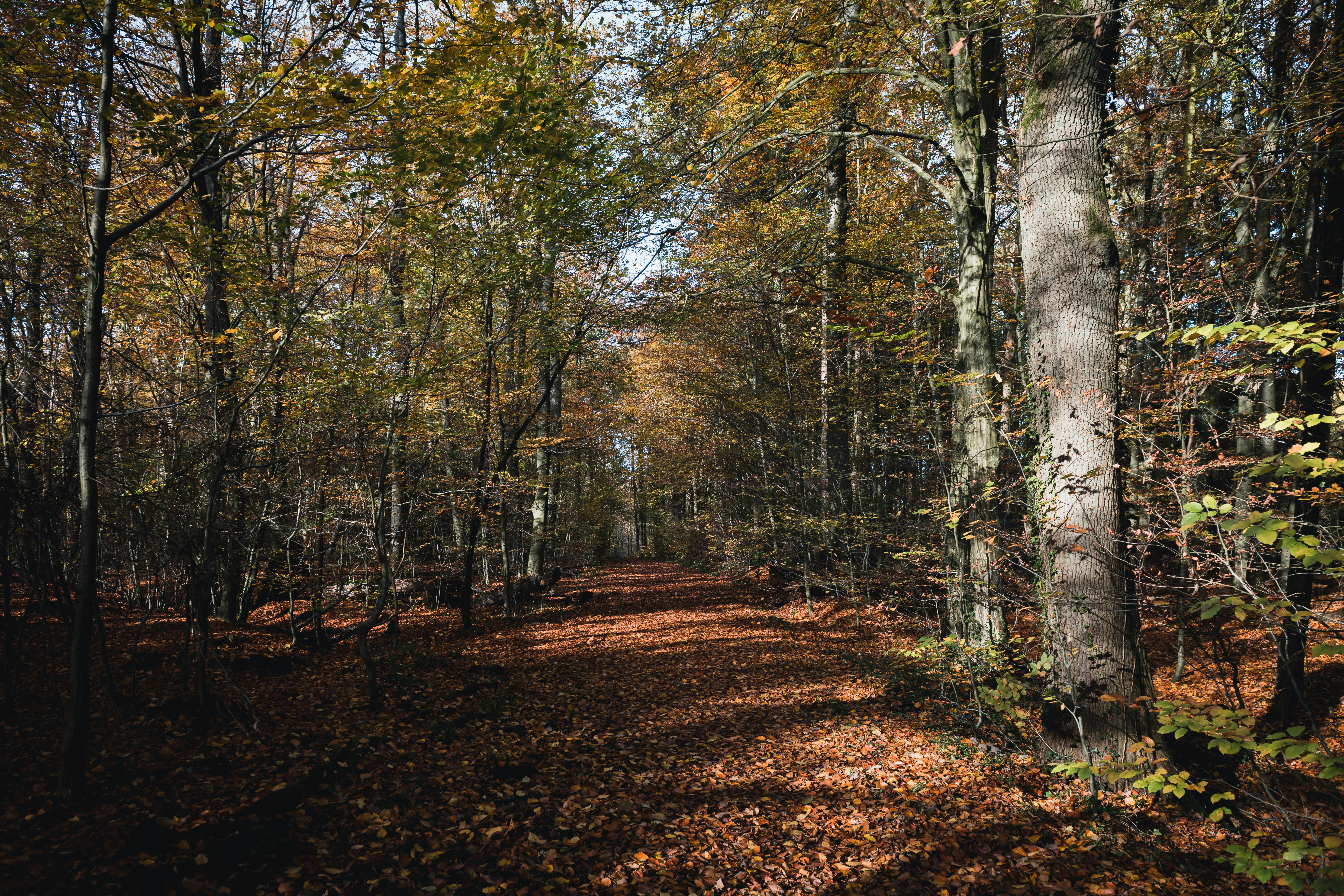 Photo by hamburgmeinefreundin