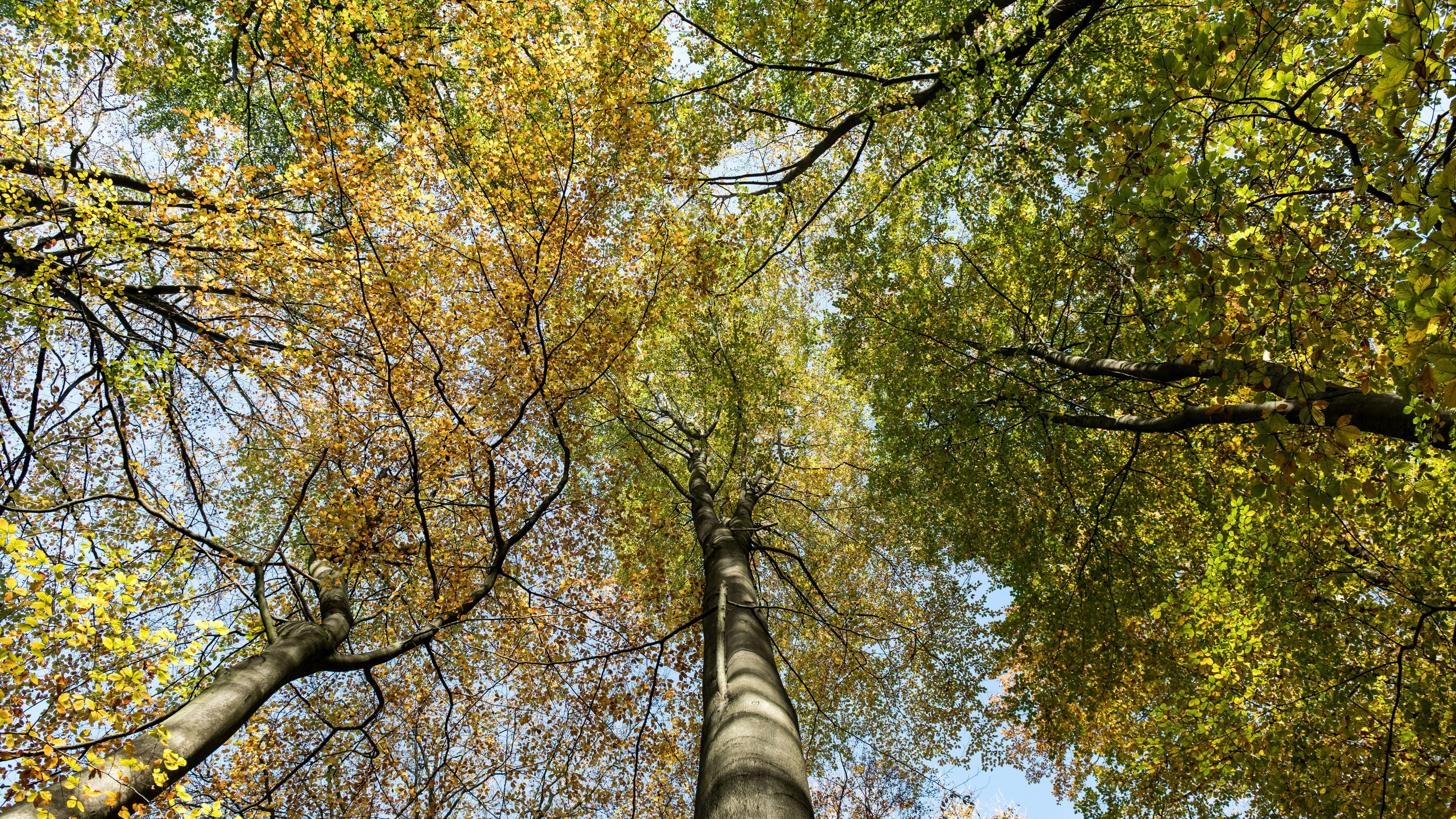 Photo by hamburgmeinefreundin