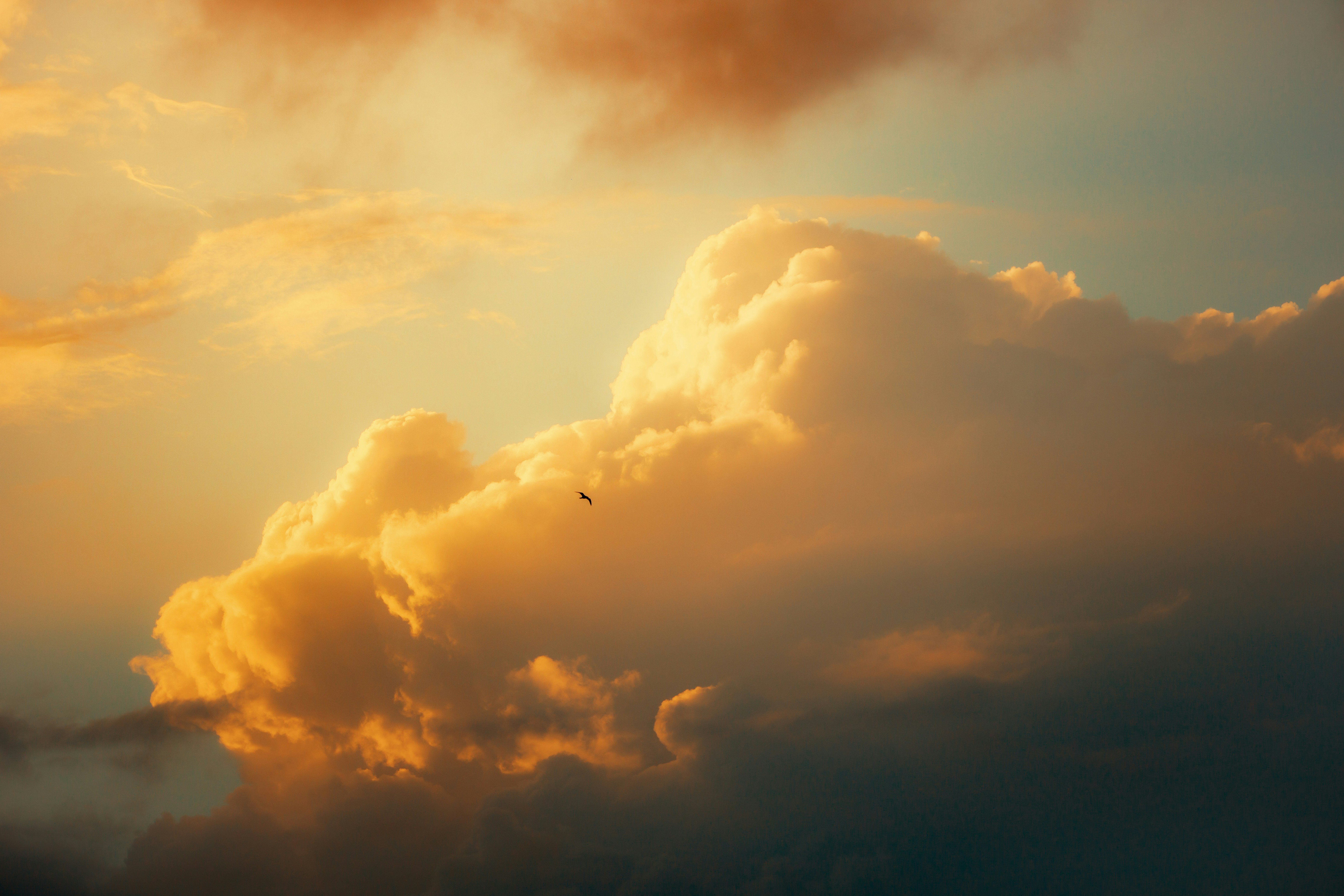 Photo by salaheregouane