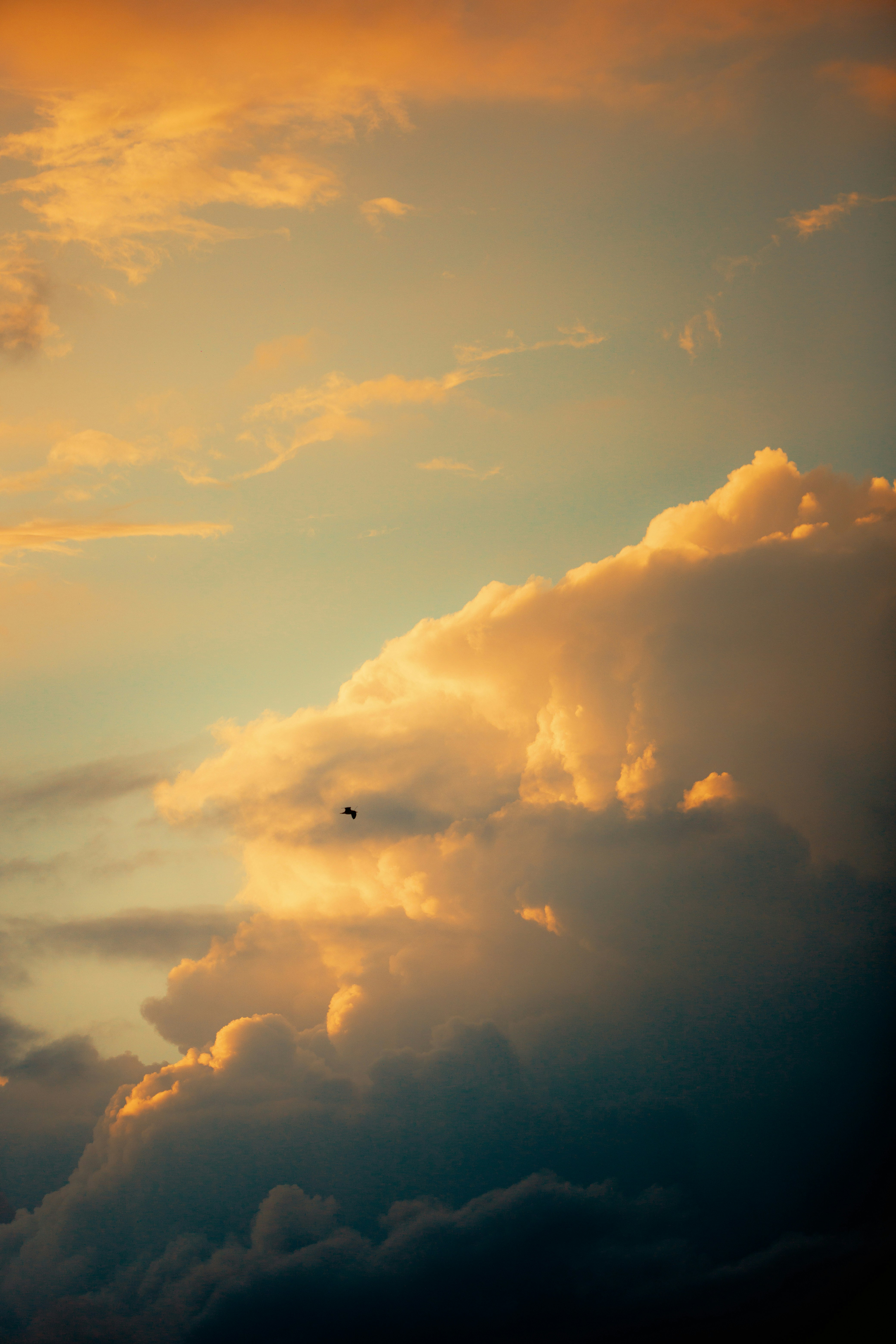 Photo by salaheregouane