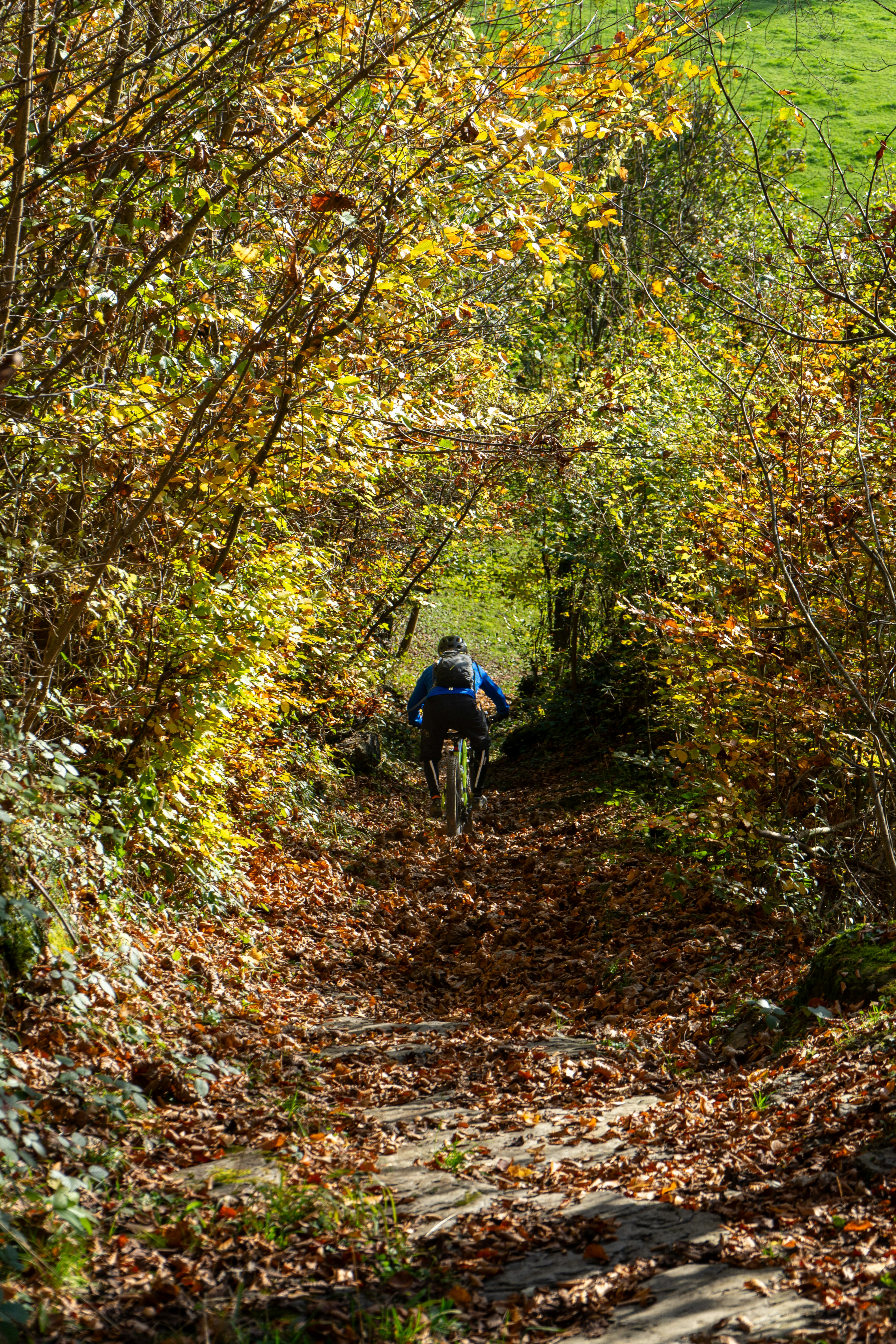 A man riding a bike down a leaf covered trail
