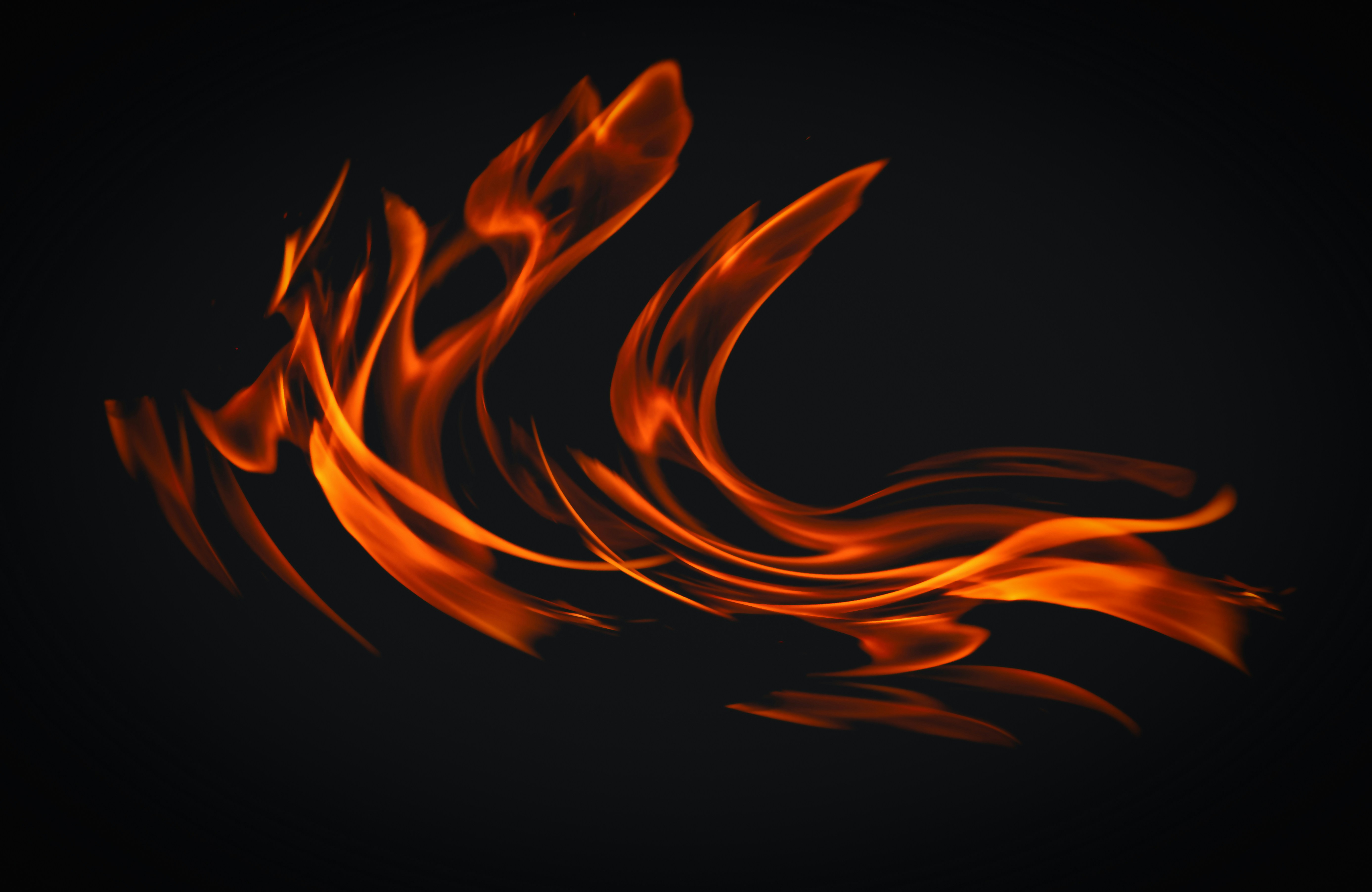 F4 비자 소지자를 위한 지역 건강보험 가입 방법 안내