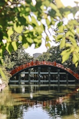 A bridge over a body of water surrounded by trees