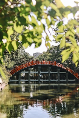 A bridge over a body of water surrounded by trees
