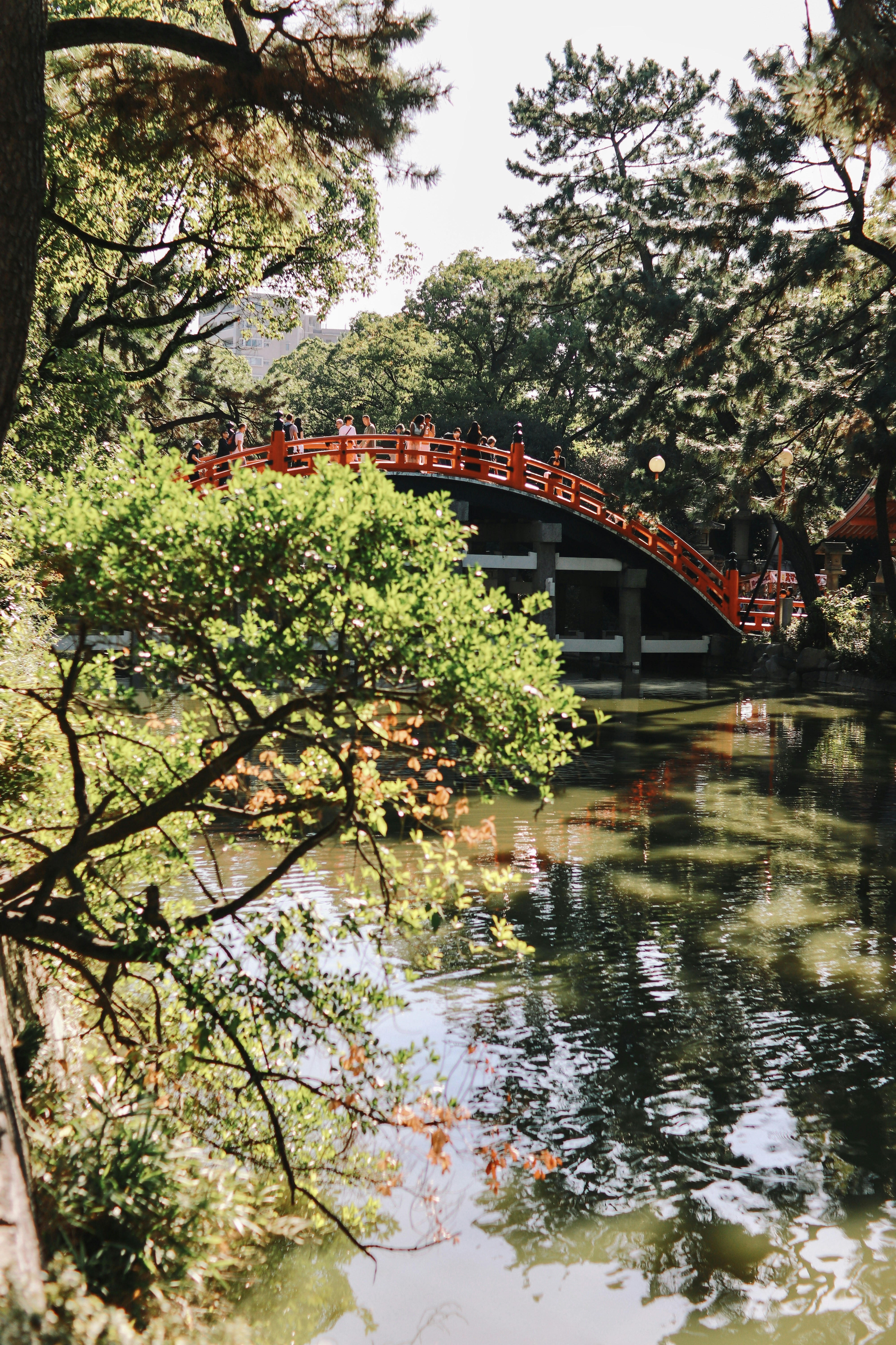 A bridge over a body of water surrounded by trees