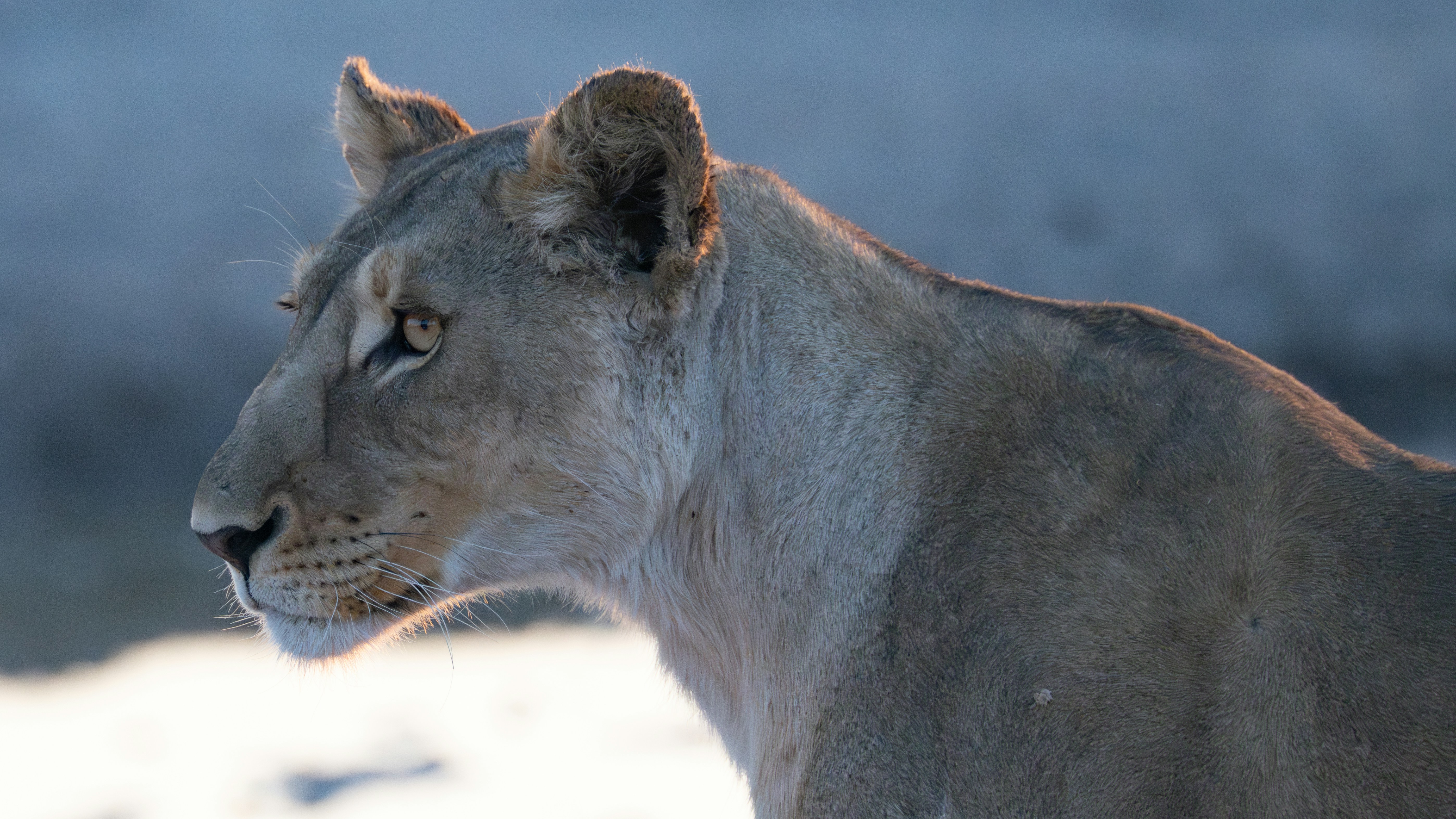 Photo by isabelle_mannino_z8