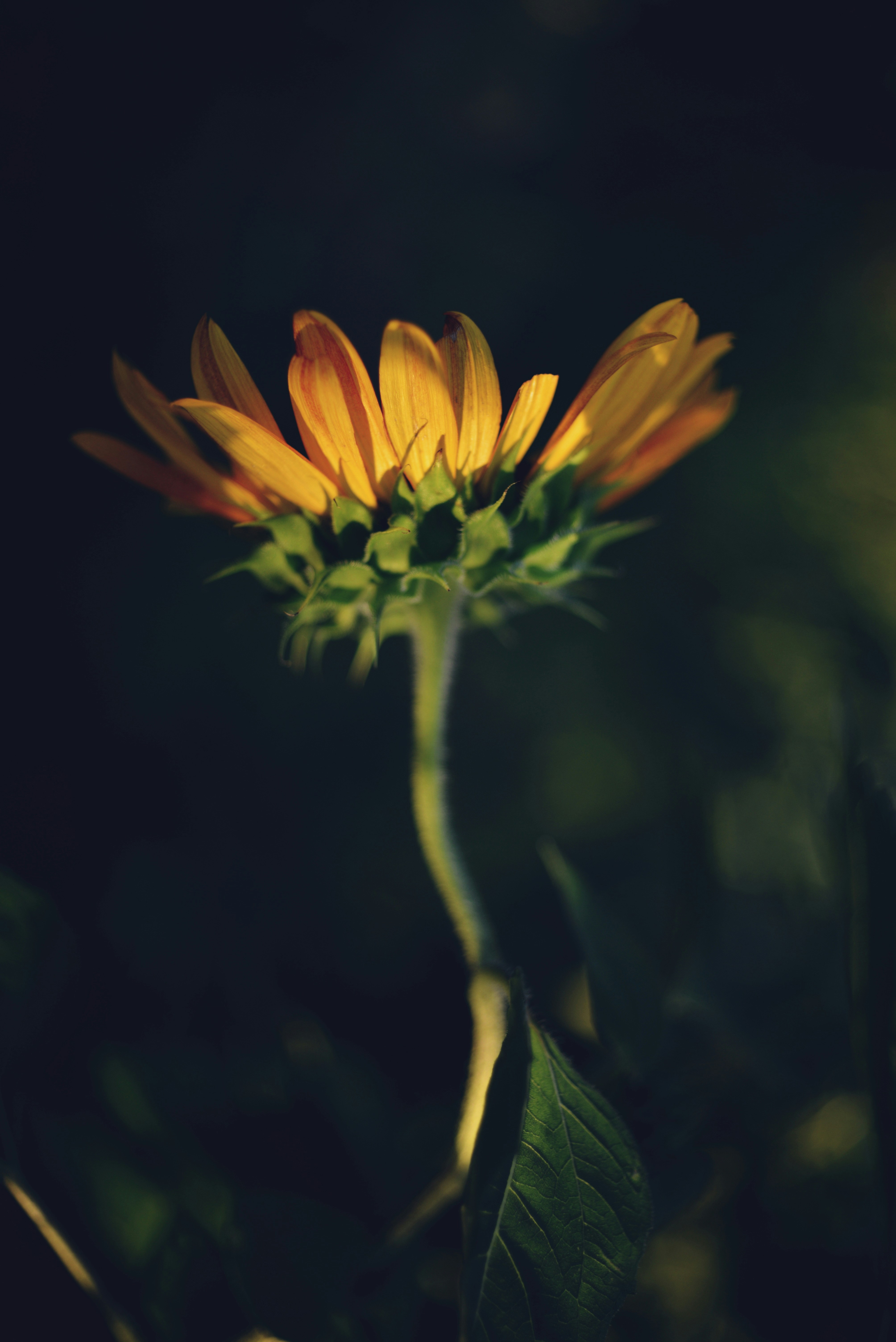 Photo by cherstve_pechivo