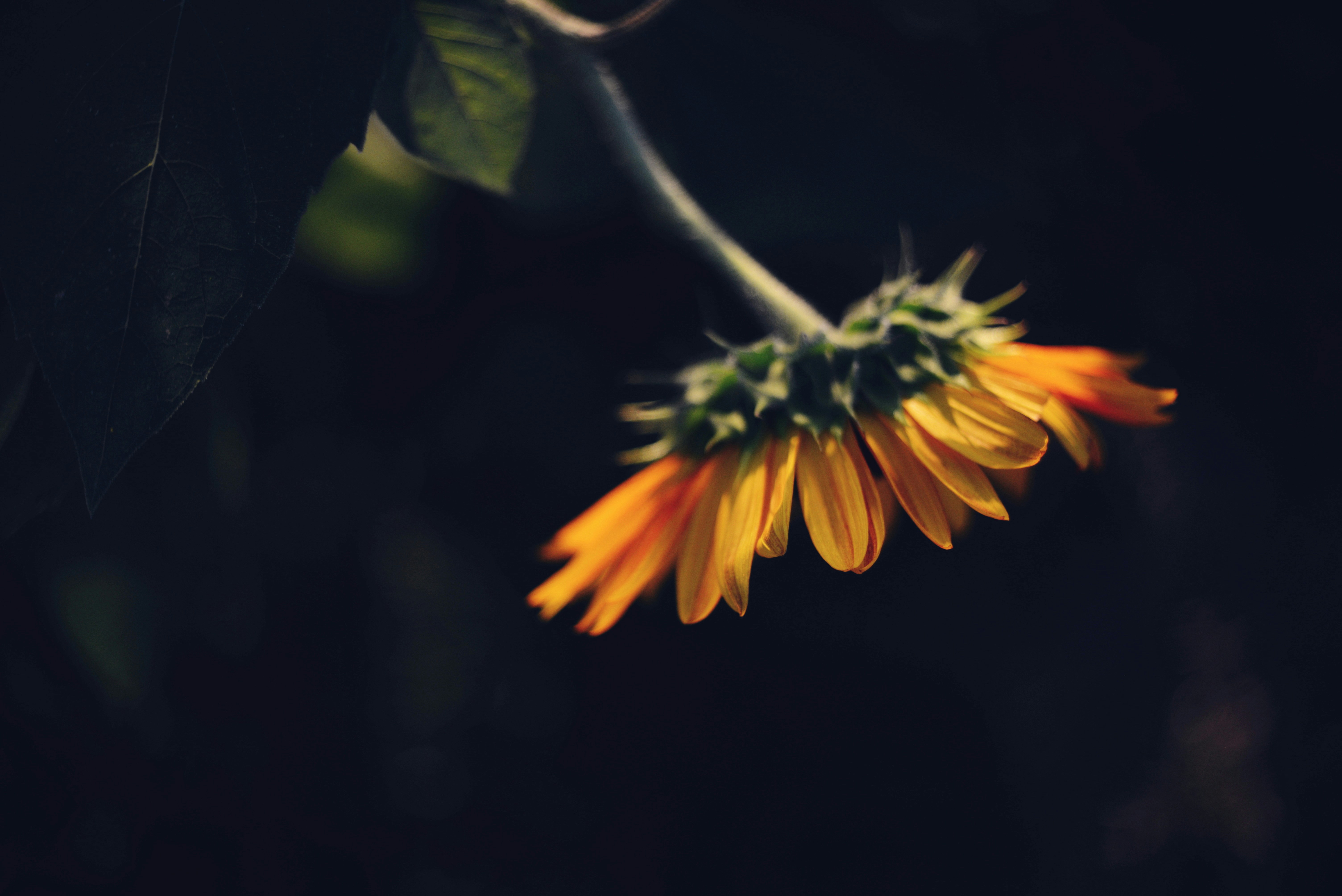 Photo by cherstve_pechivo