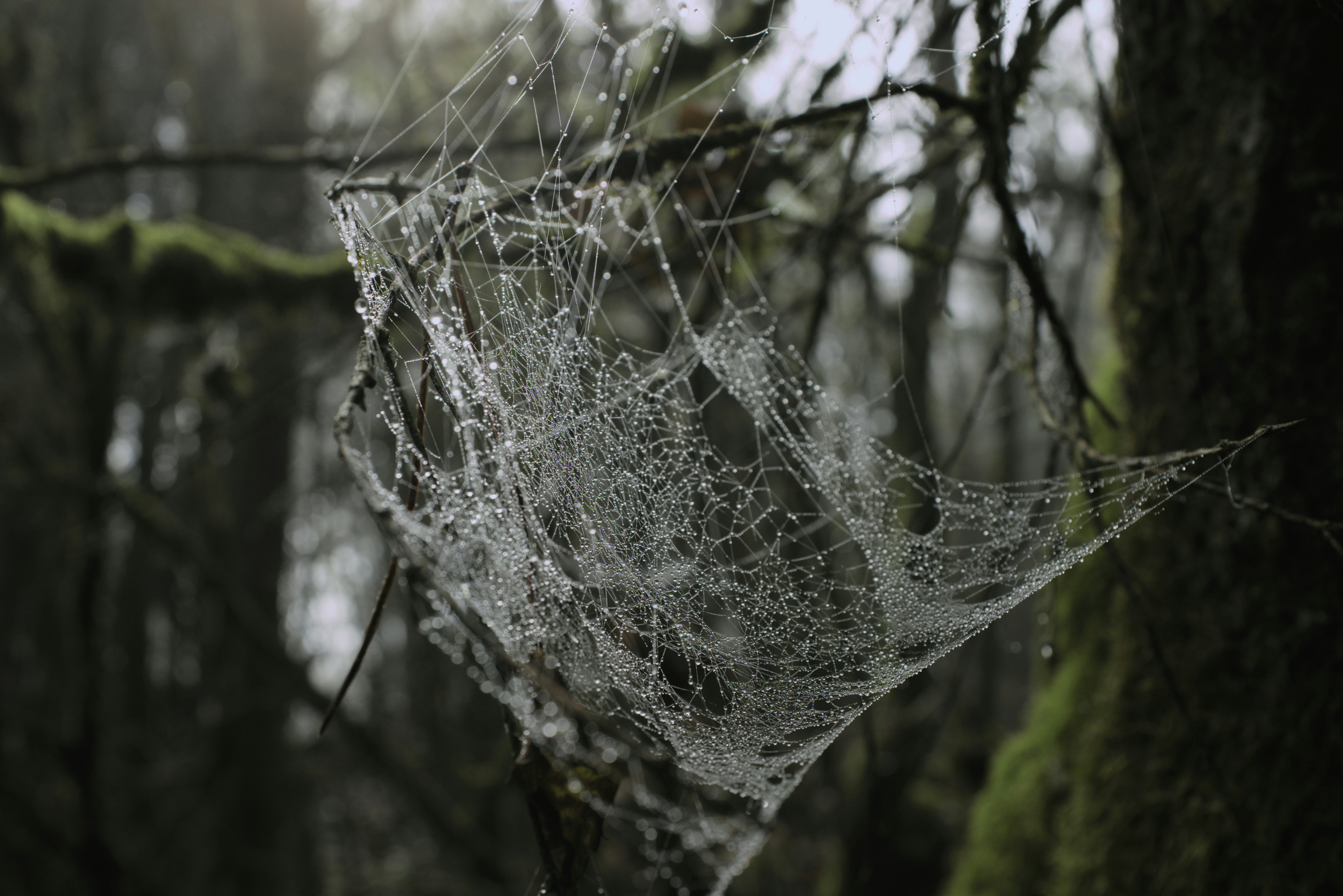 Photo by thomastygreat