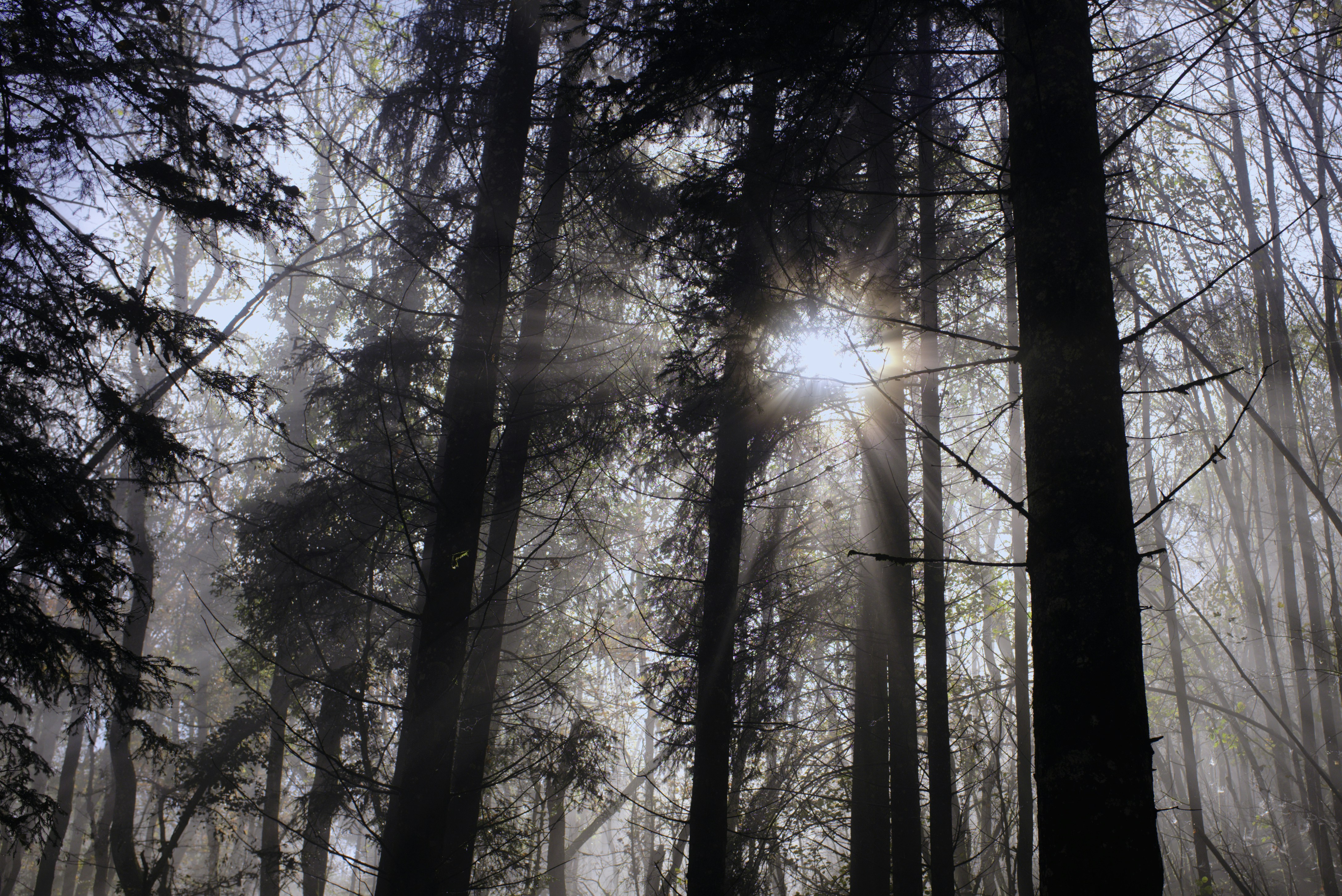 Photo by thomastygreat