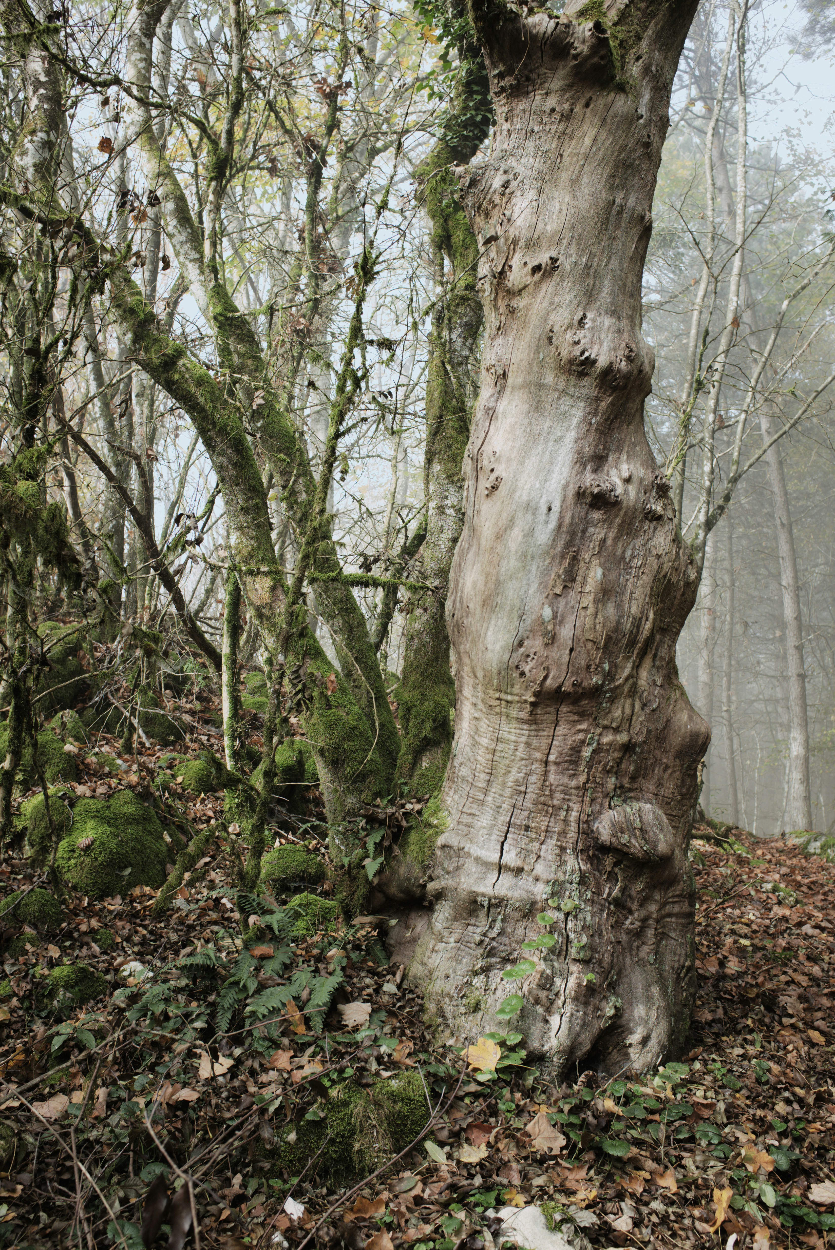 Photo by thomastygreat