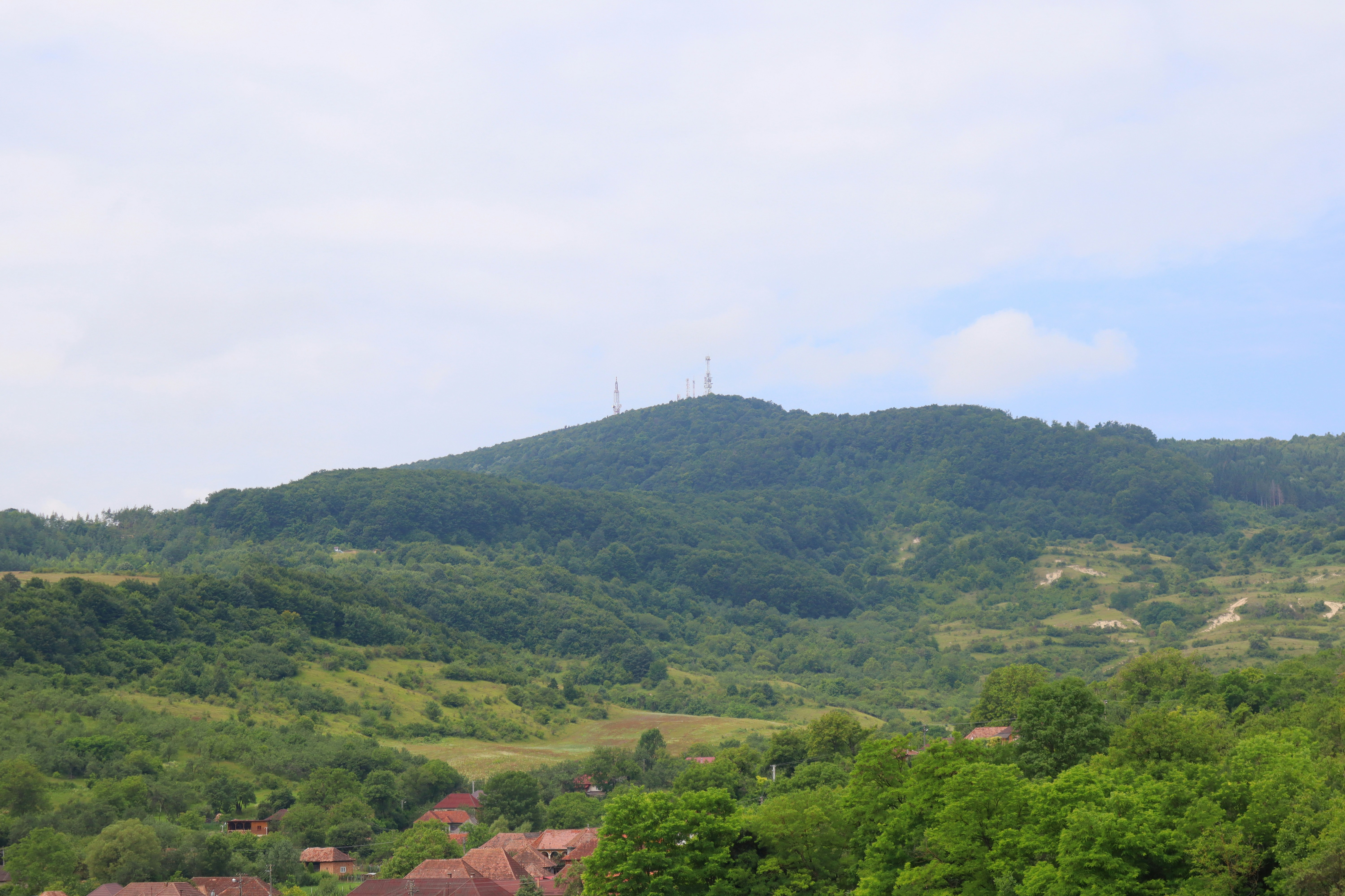 Mese? 2024, S?laj, Romania