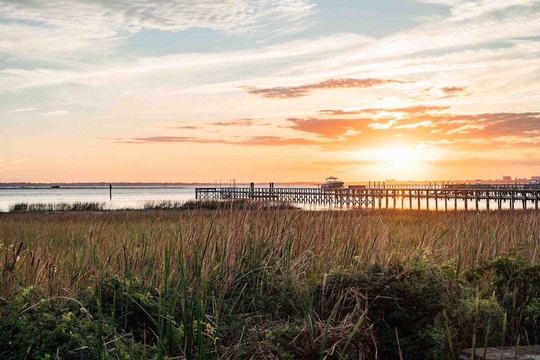 Charleston Cove