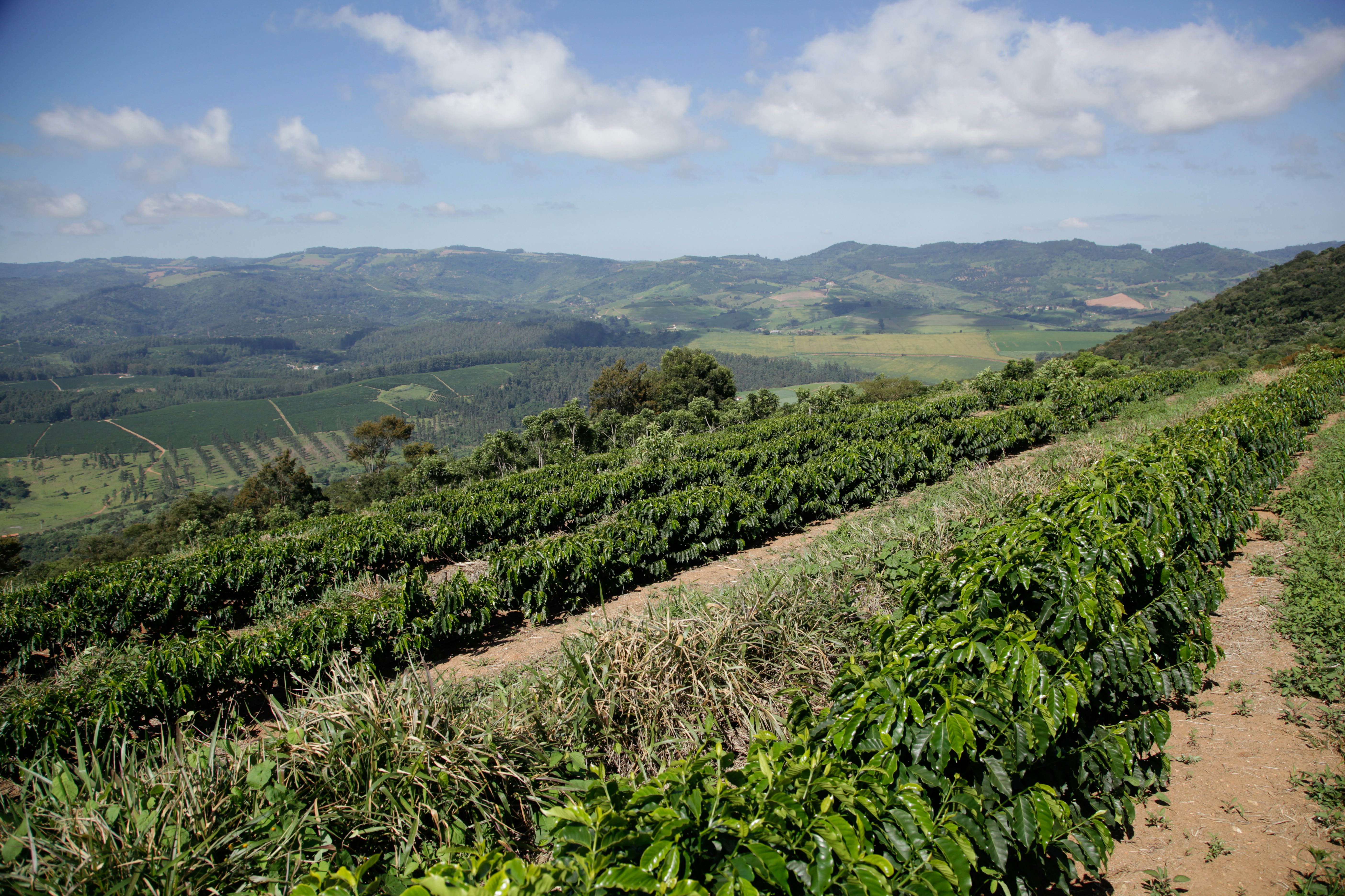 Photo by projetocafegatomourisco