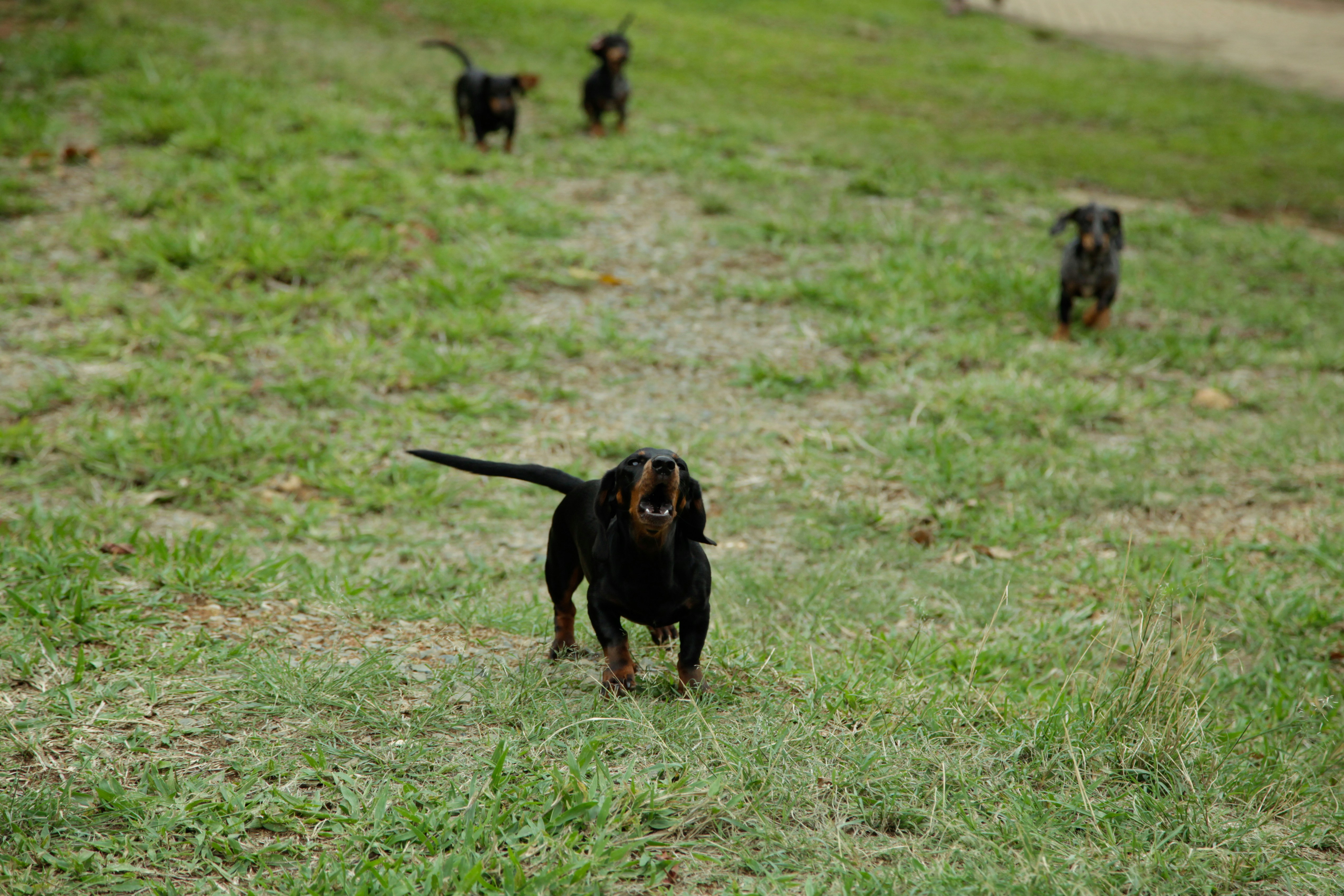 Fazenda produtiva em Minas