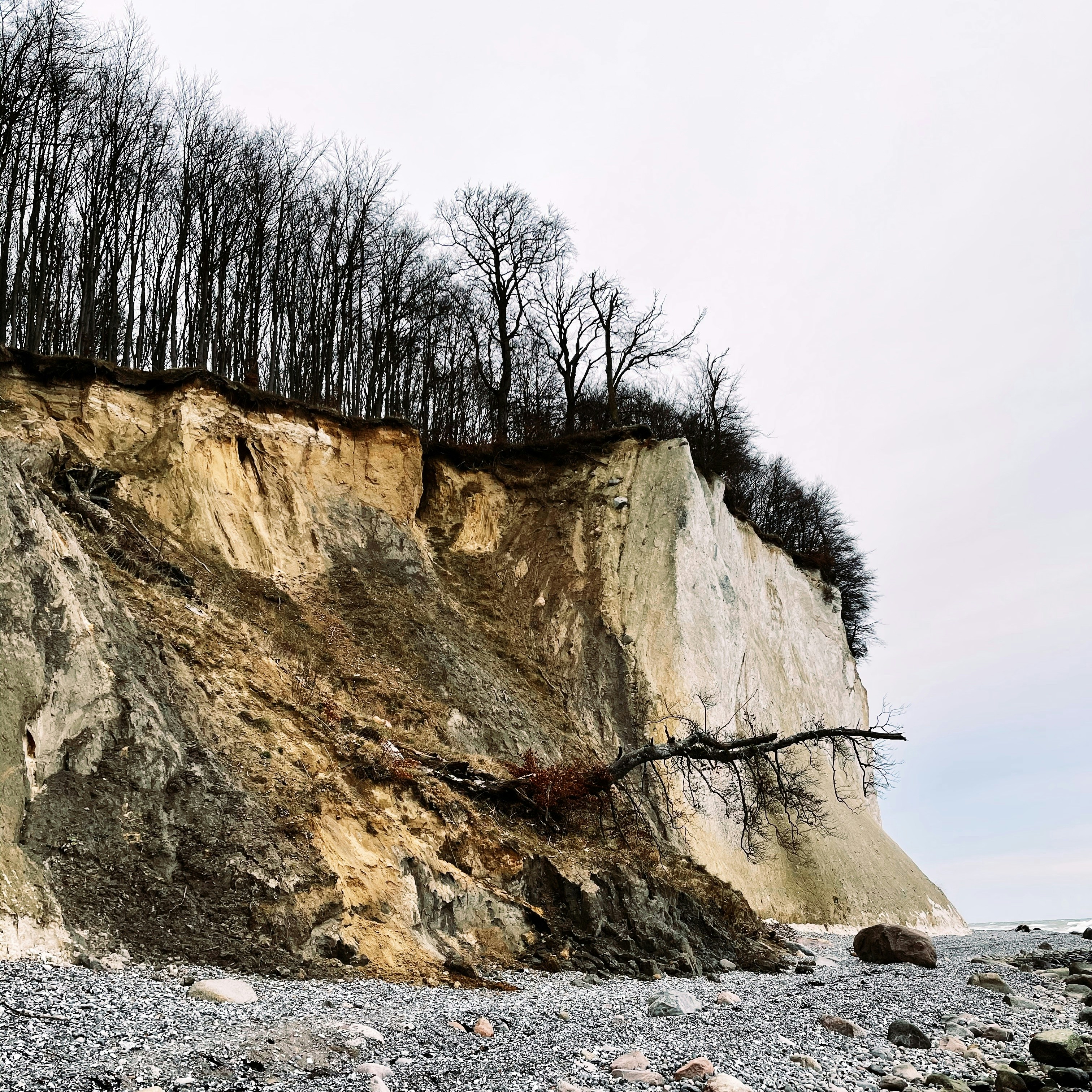 Ein veröffentlichtes Foto