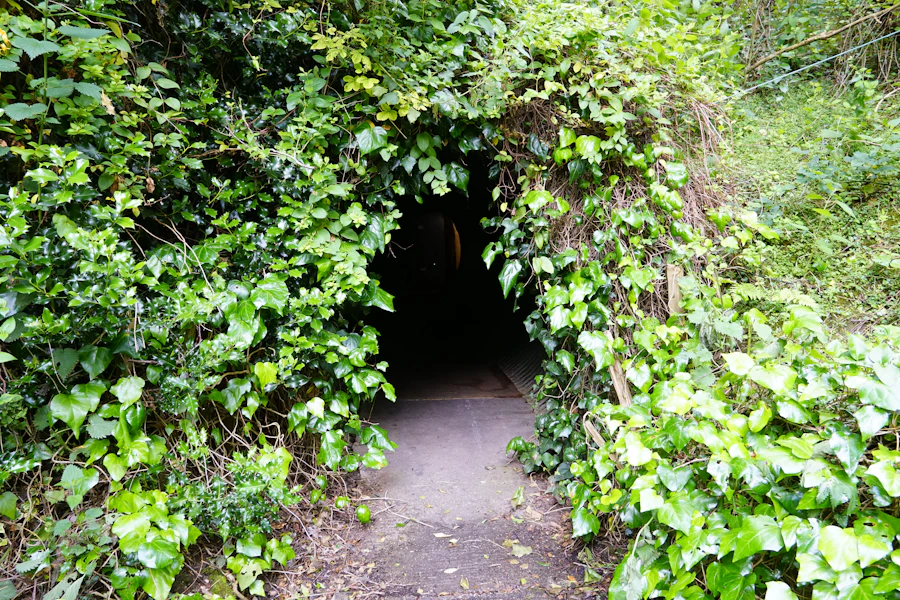Cu Chi Tunnels day trip in Ho Chi Minh City