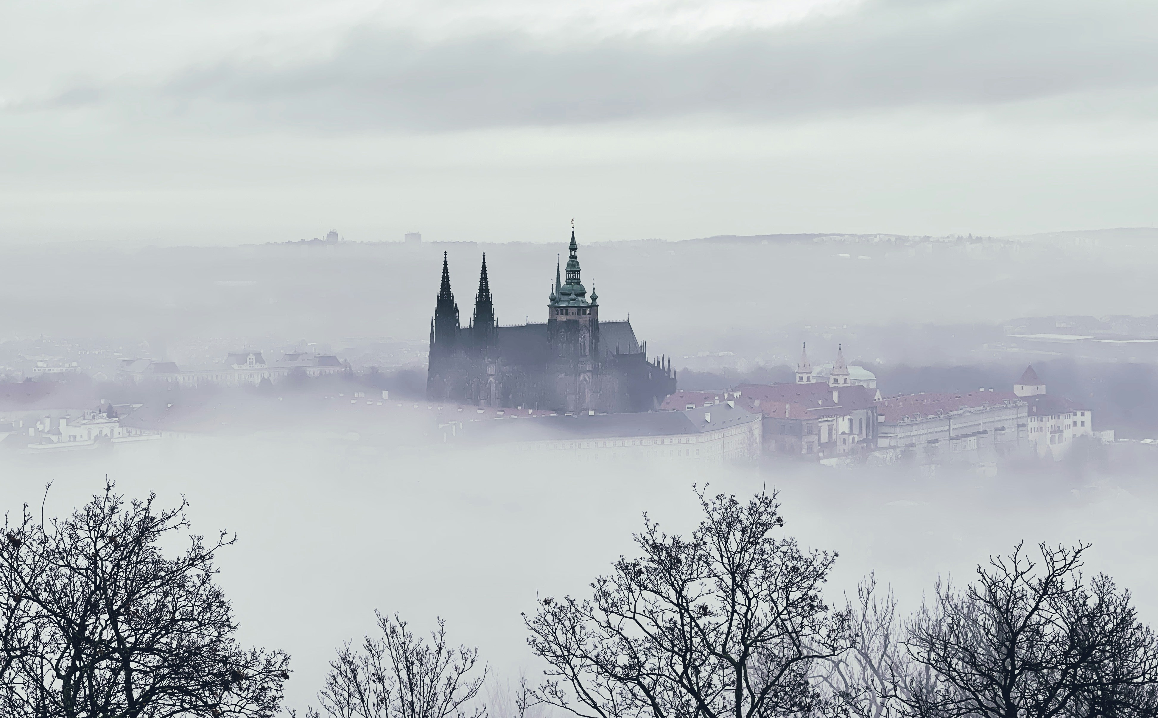 Ein veröffentlichtes Foto