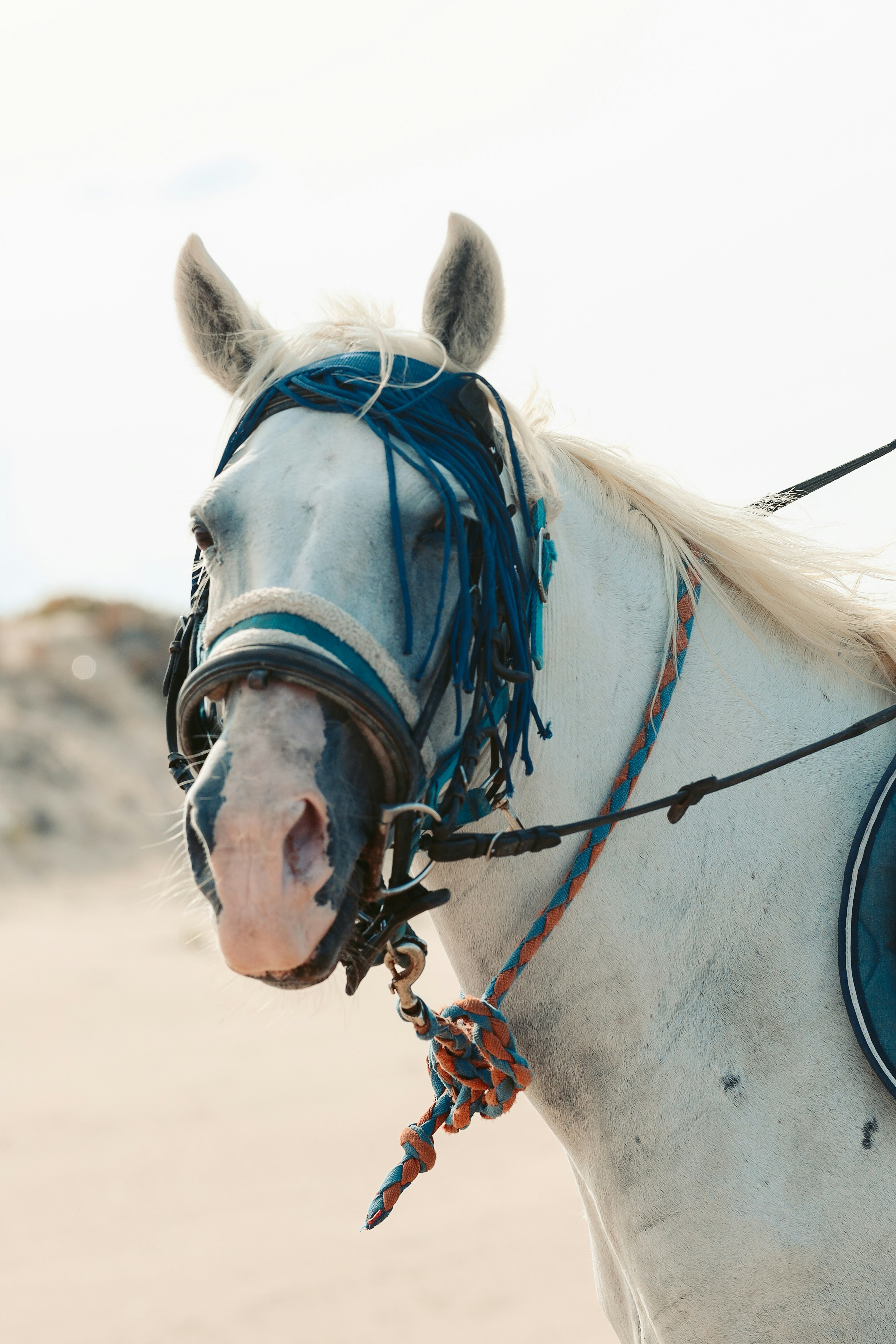 Photo by himo_beast1996