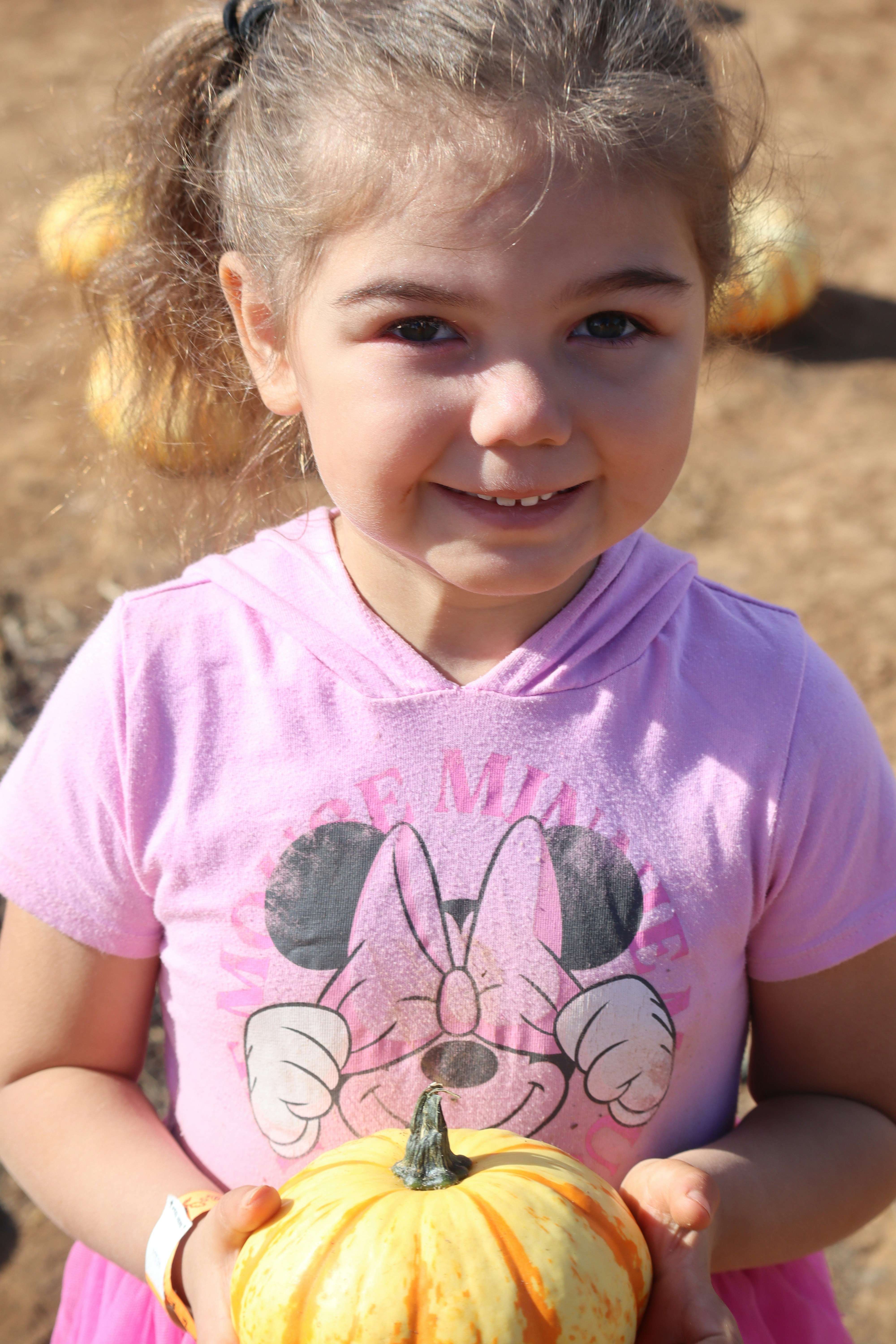 A little girl holding a pumpkin in her hands