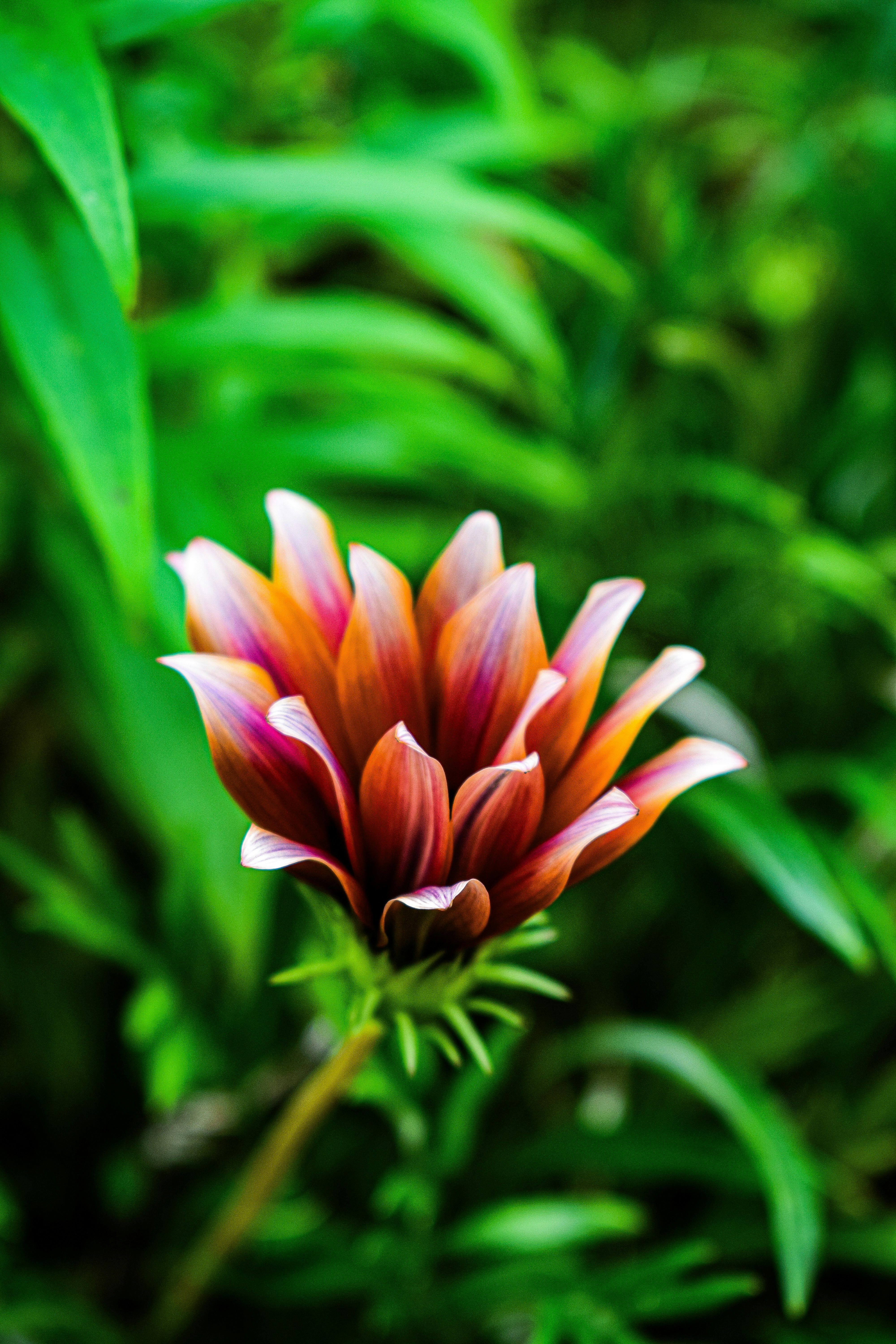 Photo by d5300_magic