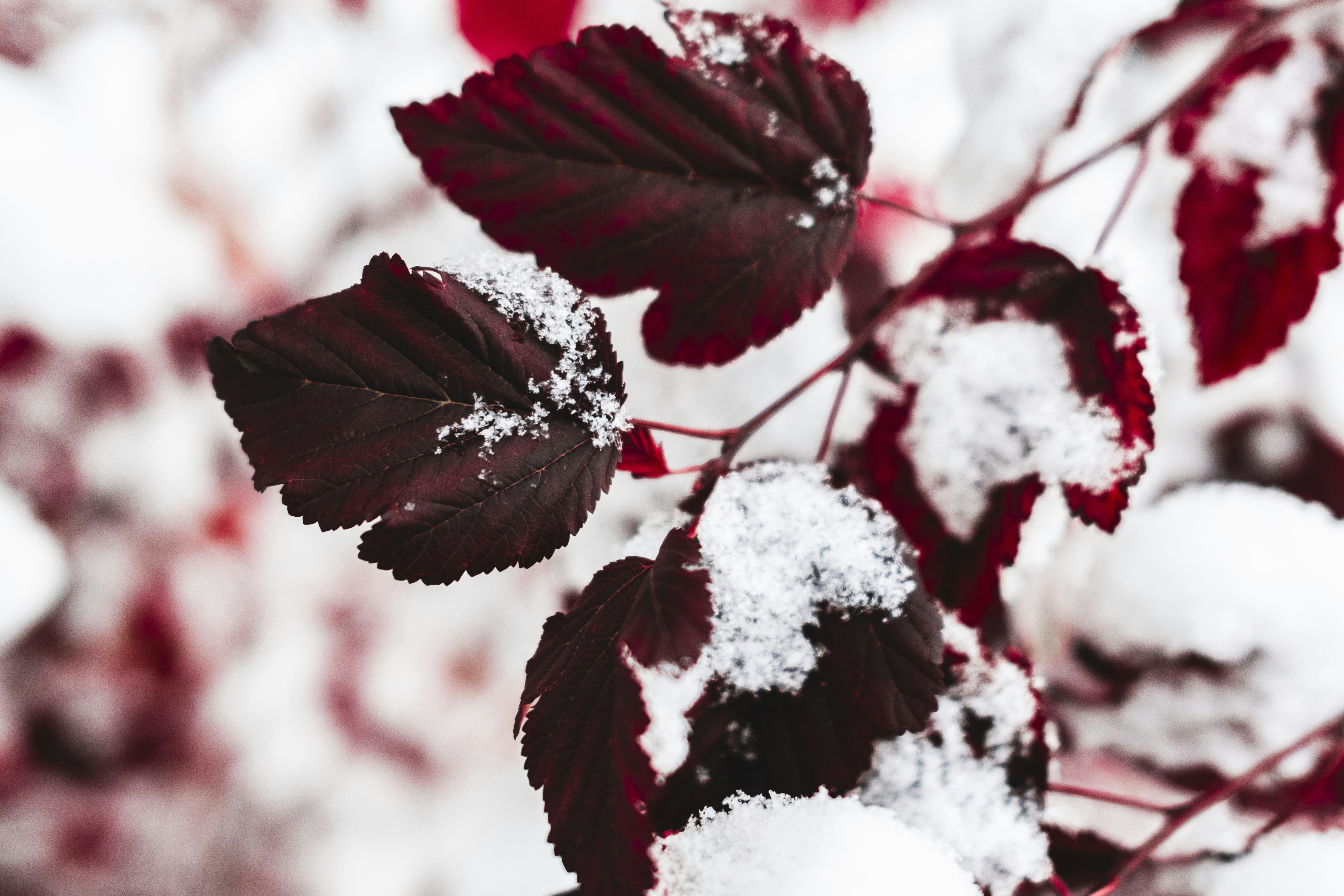 Photo by stef_enheart